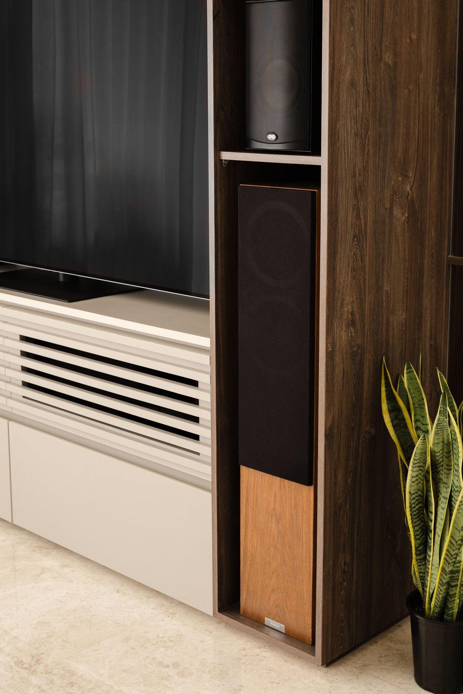Modern entertainment center with wood-toned cabinet, built-in speakers, and a decorative snake plant in the corner.