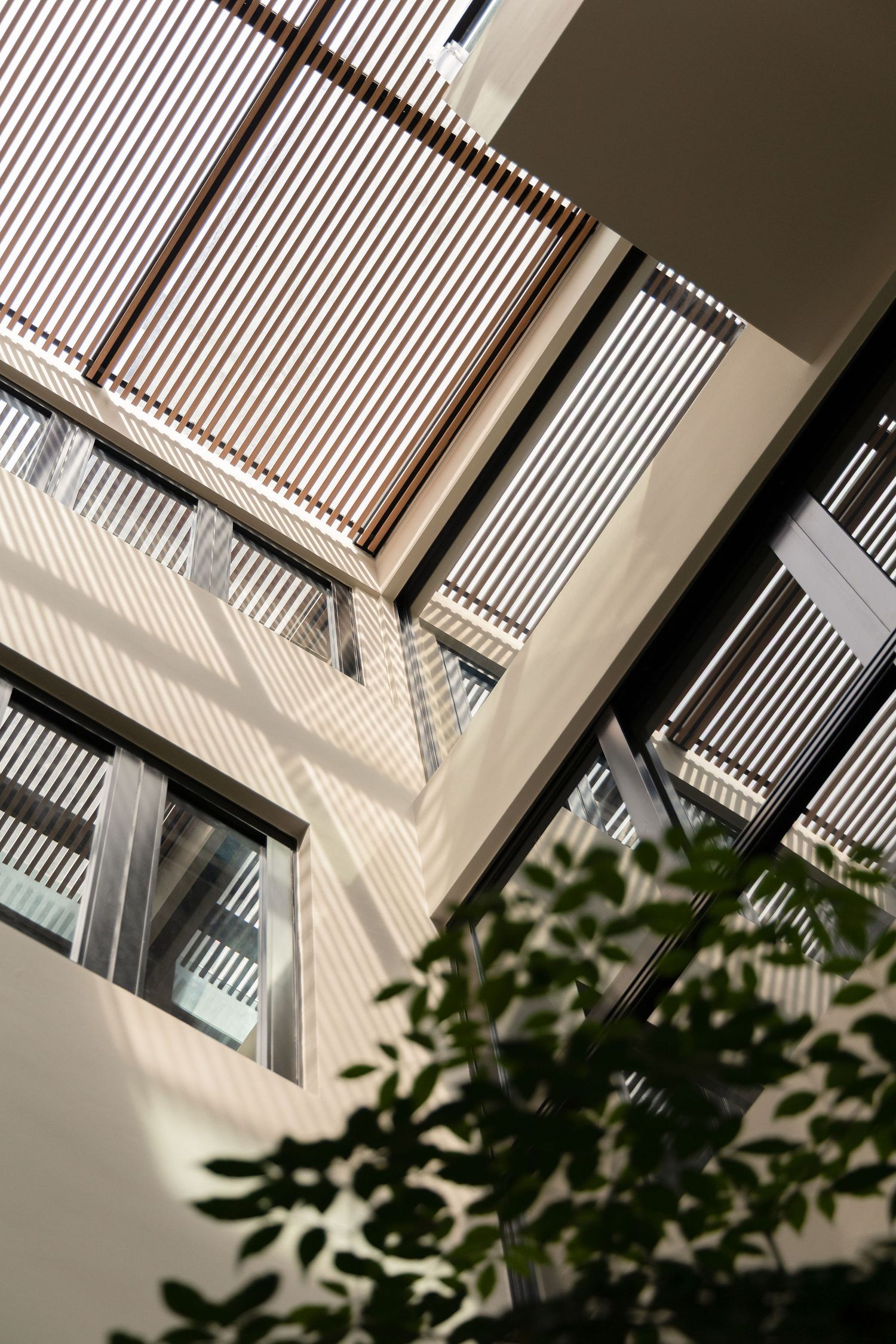 Looking up at a modern building courtyard with wooden louvered shades, large windows, and lush green foliage in sunlight.