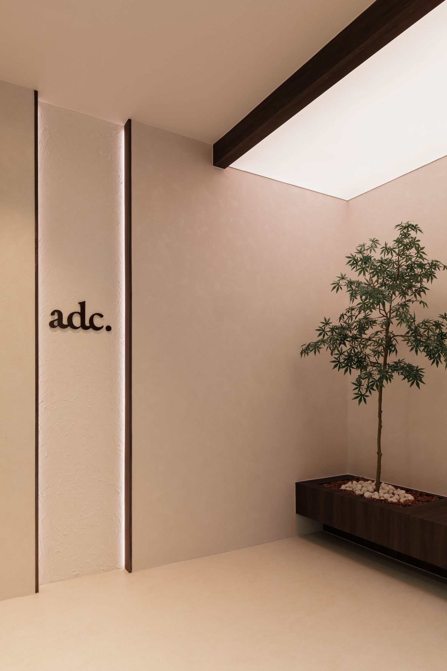 Minimalist interior design with white walls, wooden beams, and a small potted plant in a contemporary space.