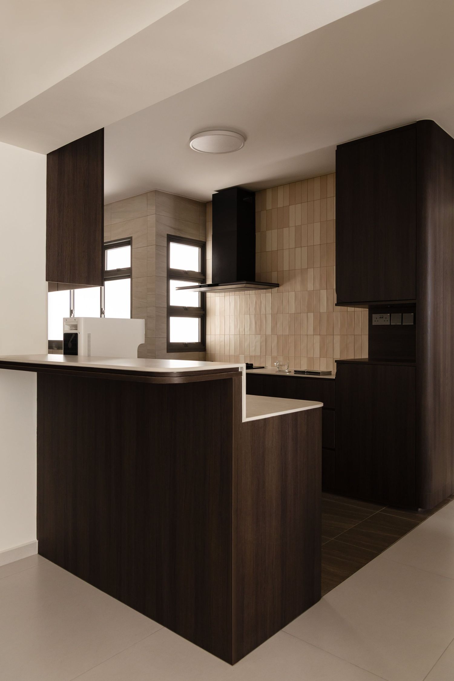 Modern apartment interior features sleek dark wood cabinetry and minimalist design elements in an empty kitchen space.