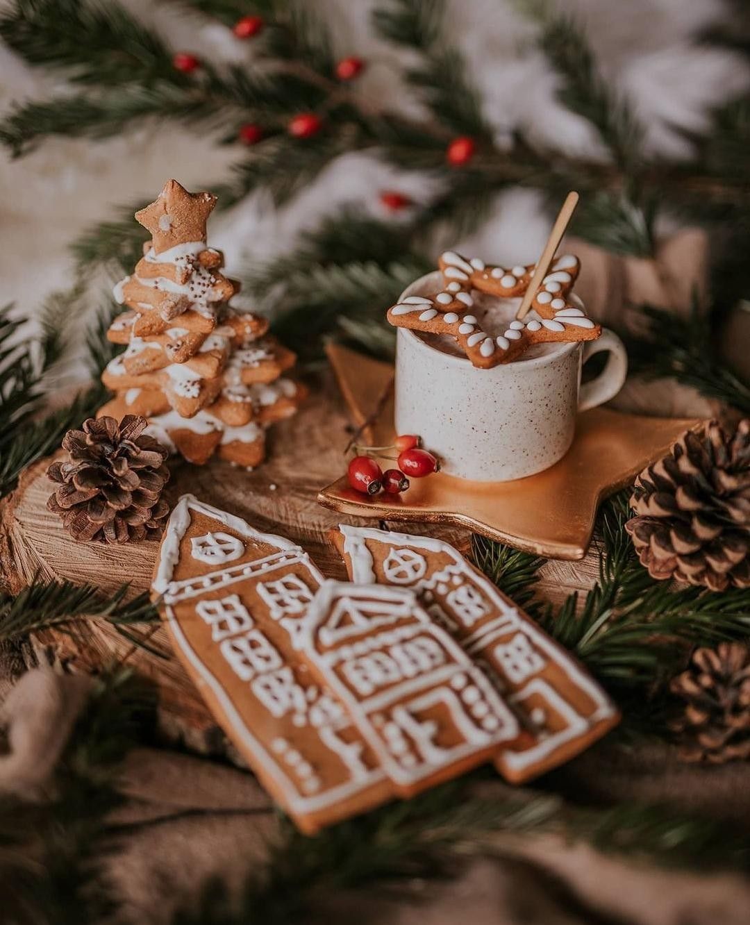 Festive gingerbread cookies shaped as a house and tree beside a hot cocoa mug, surrounded by pine cones and evergreen branches.