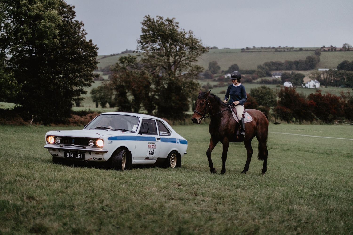 voiture de rallye et cheval