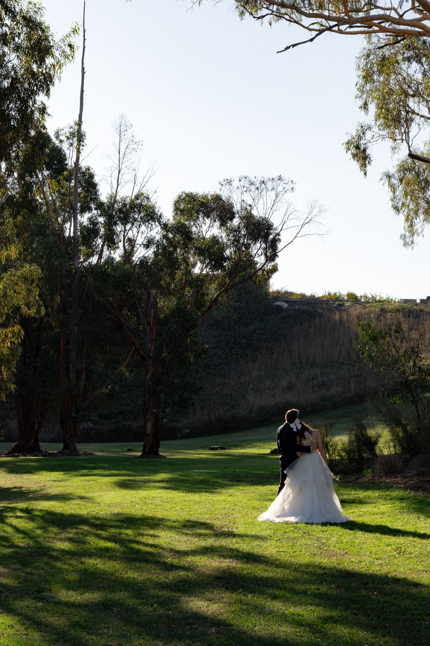 Bride and groom embracing on sunlit green lawn surrounded by tall eucalyptus trees at golden hour.