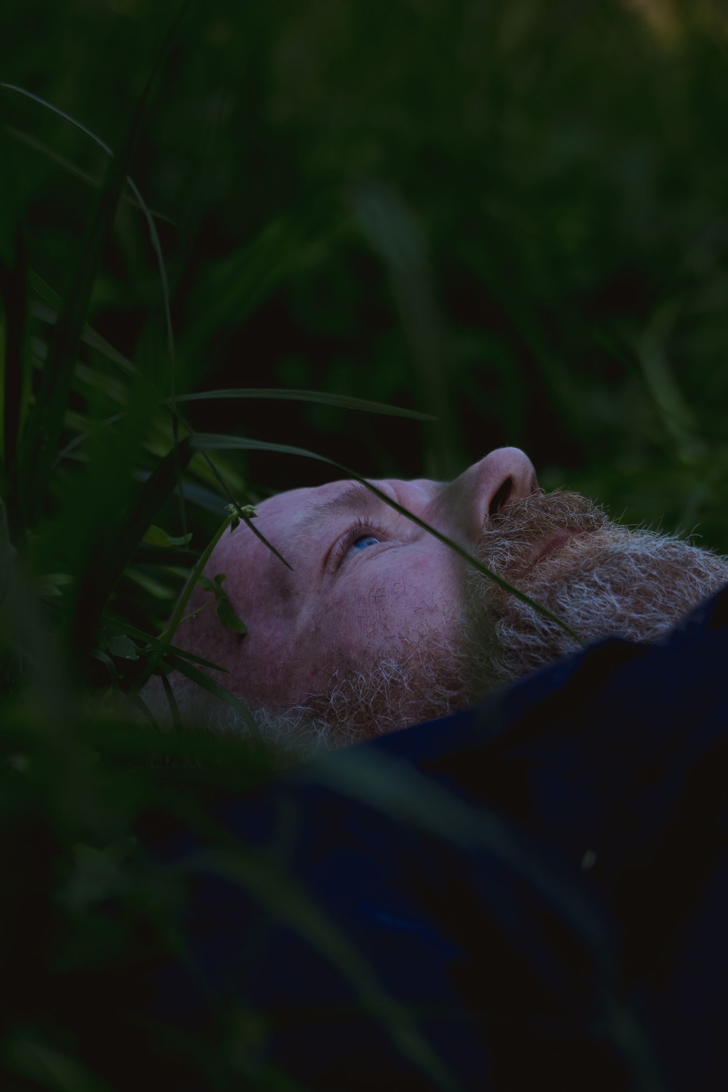 Bearded man lying in tall green grass looking up at the sky in a contemplative moment.