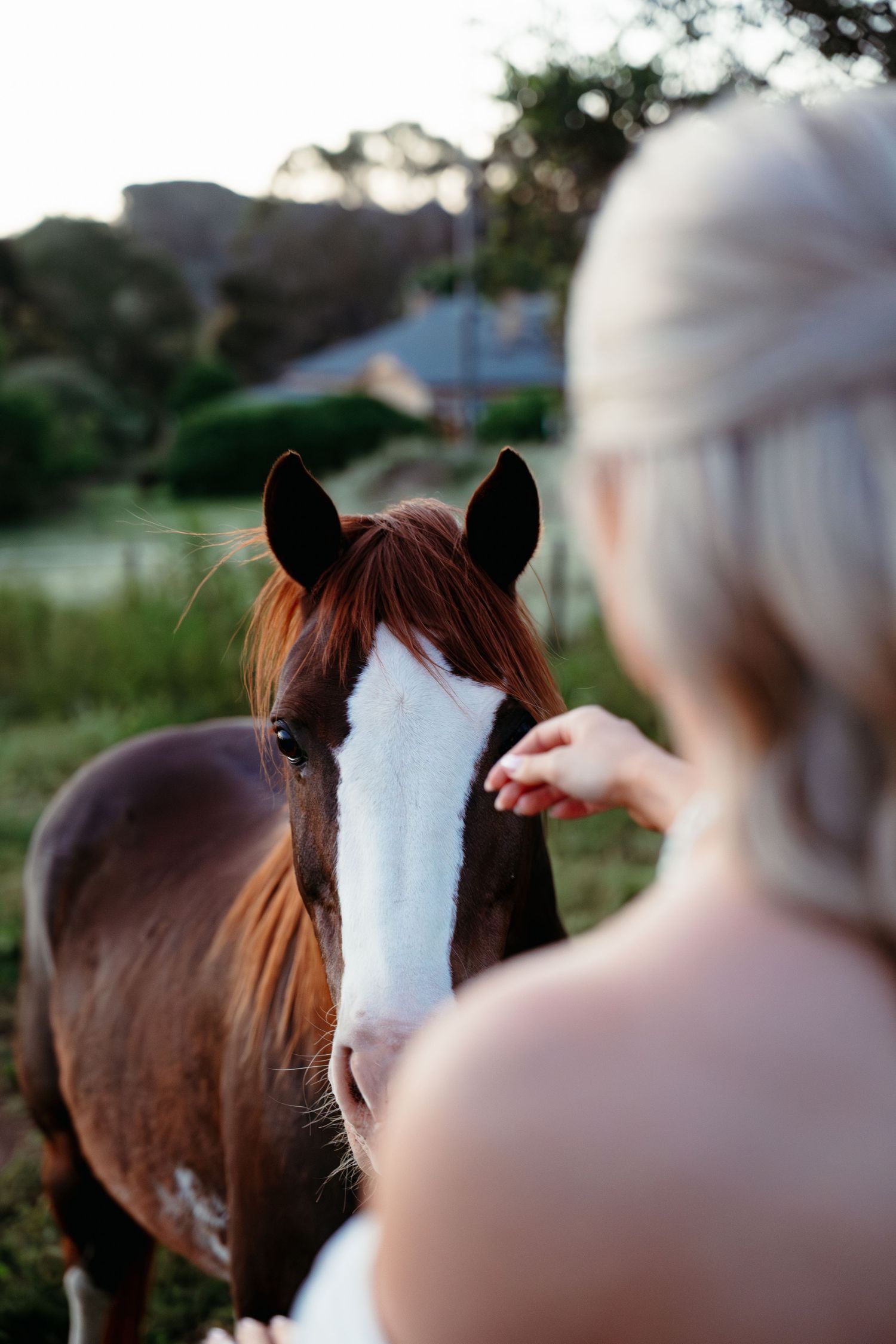Blonde woman gently touching a chestnut horse with white blaze on its face in a green outdoor setting.