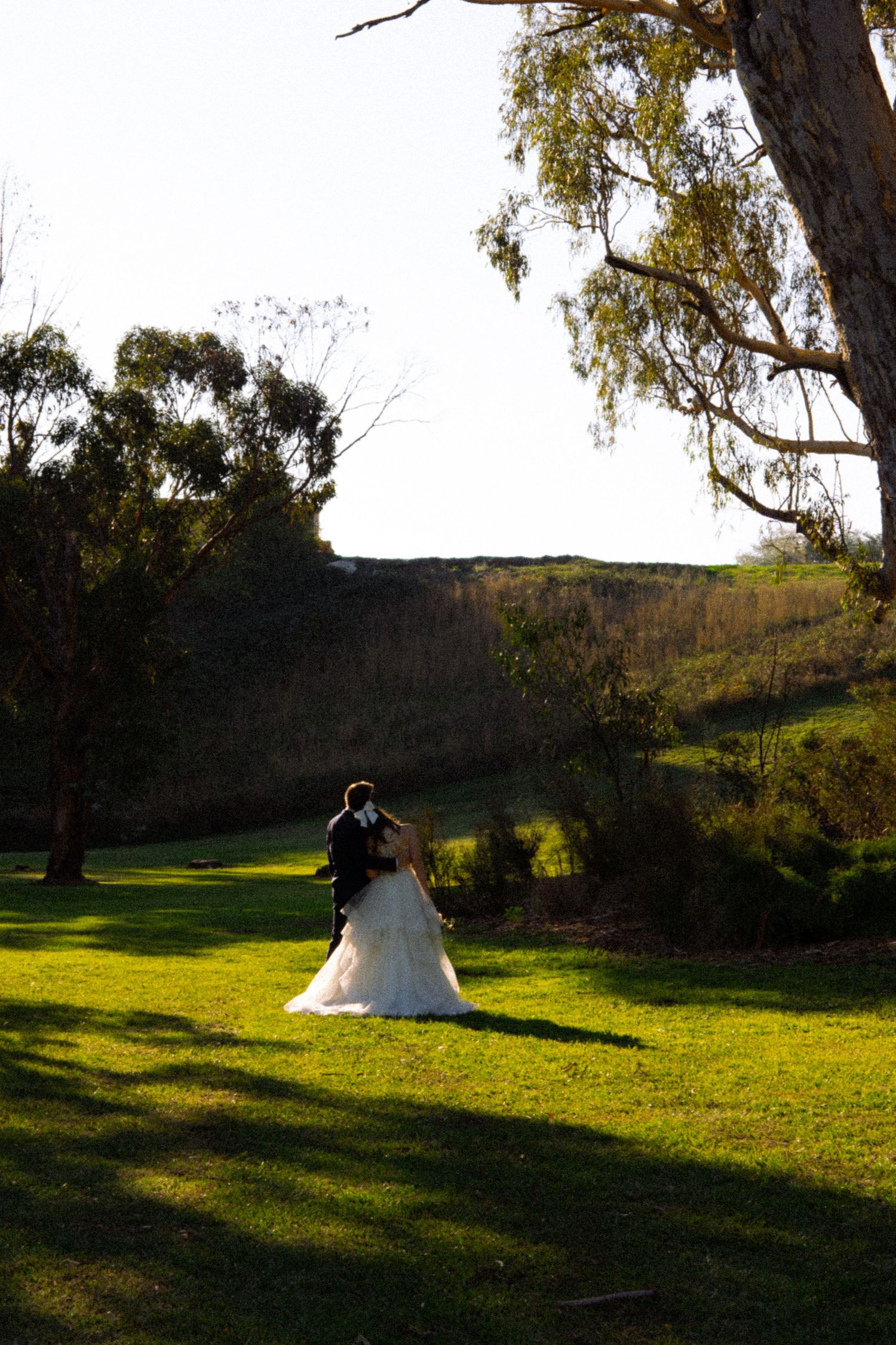 Bride and groom share a romantic moment on green lawn beneath a large eucalyptus tree in warm afternoon light.