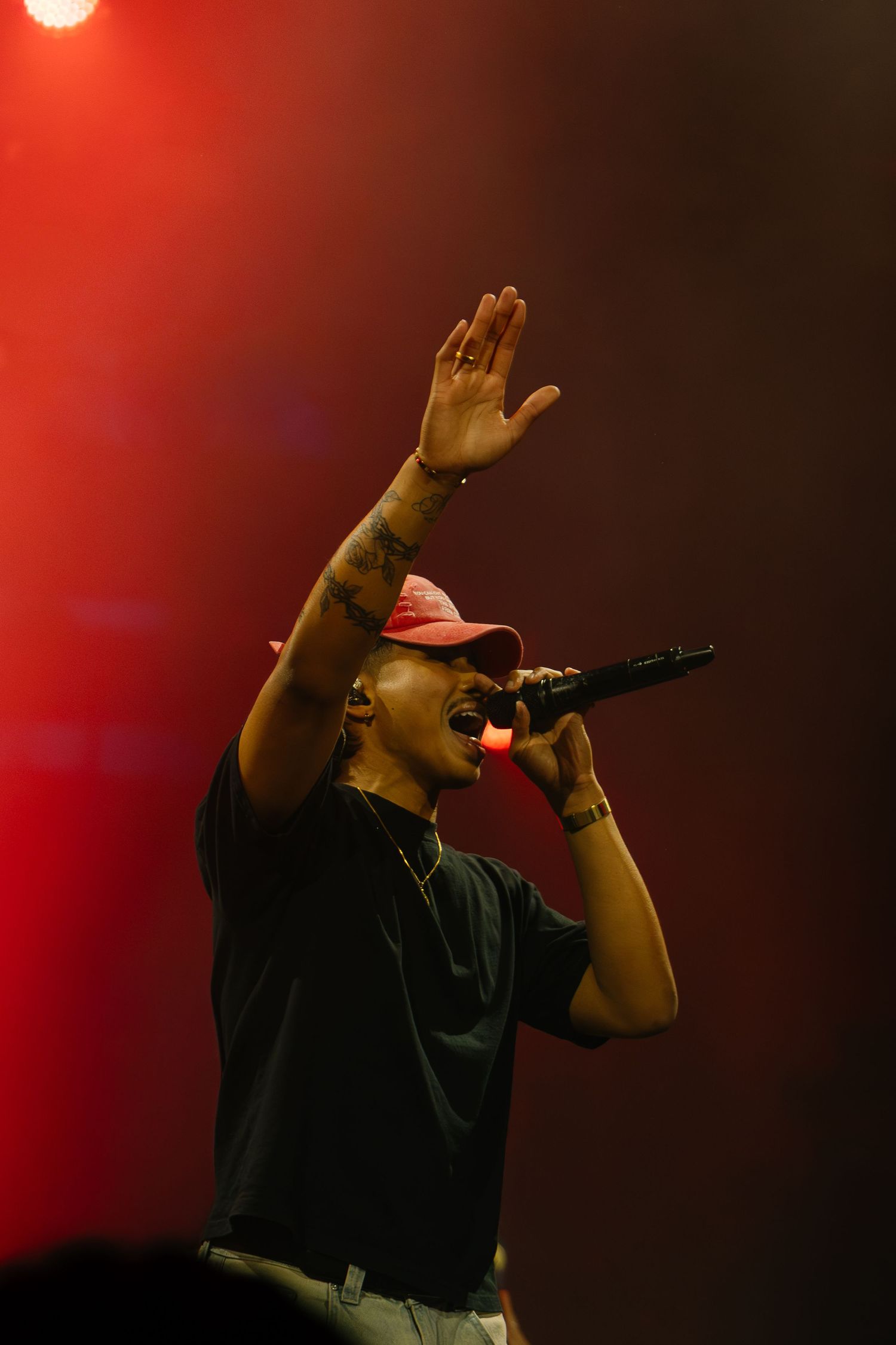 A performer sings into a microphone with one hand raised under red stage lighting at a live concert.