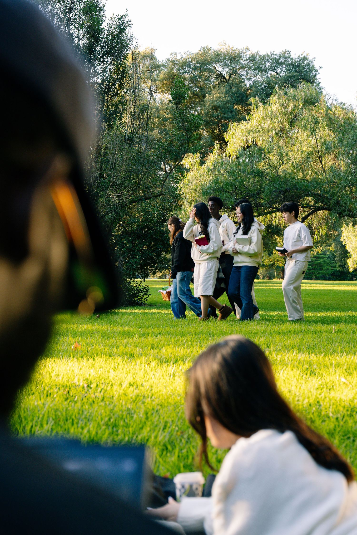 Group of young people socializing on a sunny green lawn with trees in the background.