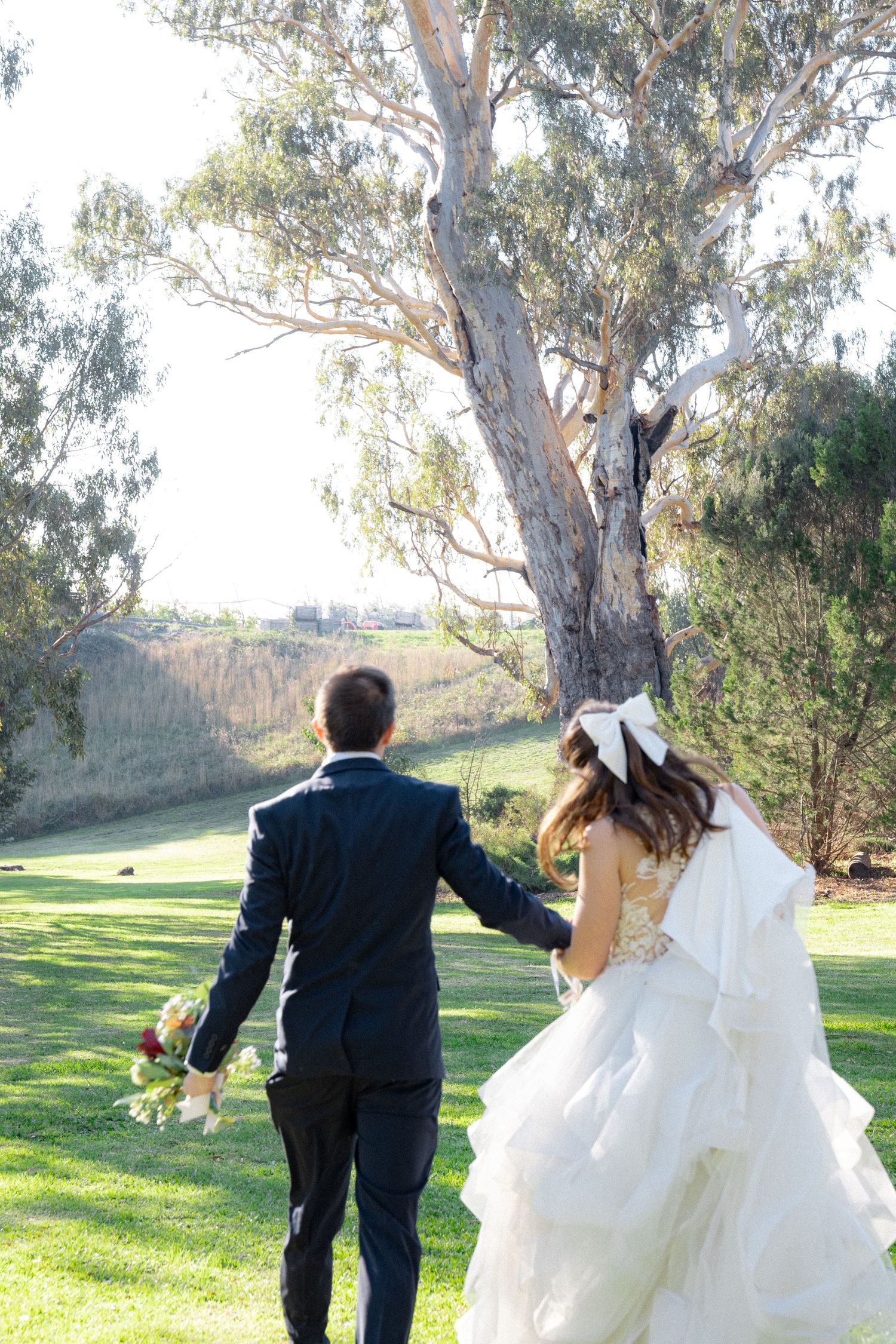 Bride and groom holding hands walking across green lawn toward large eucalyptus tree.
