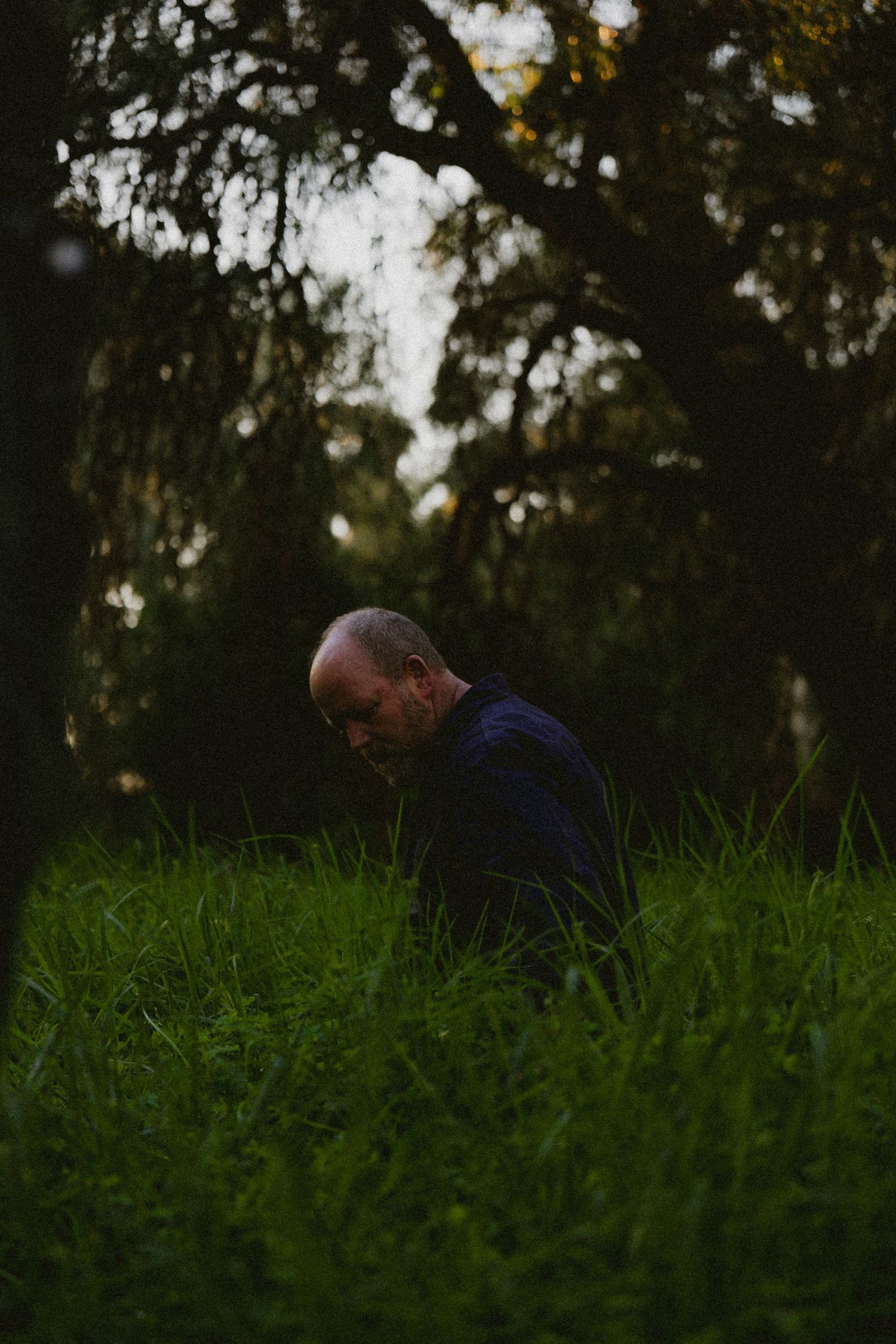 Bald man in navy shirt crouching in tall green grass among dark trees in fading light.