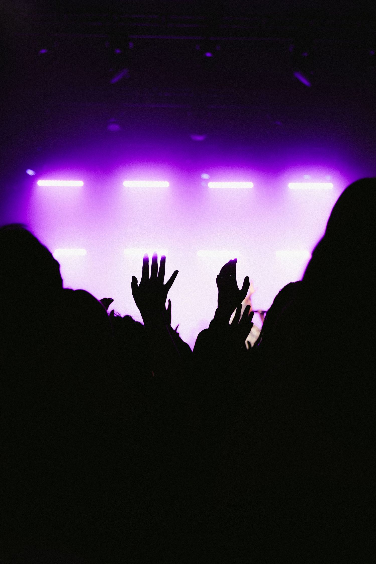 Silhouetted concert crowd raises hands against vibrant purple stage lighting at a live music event.