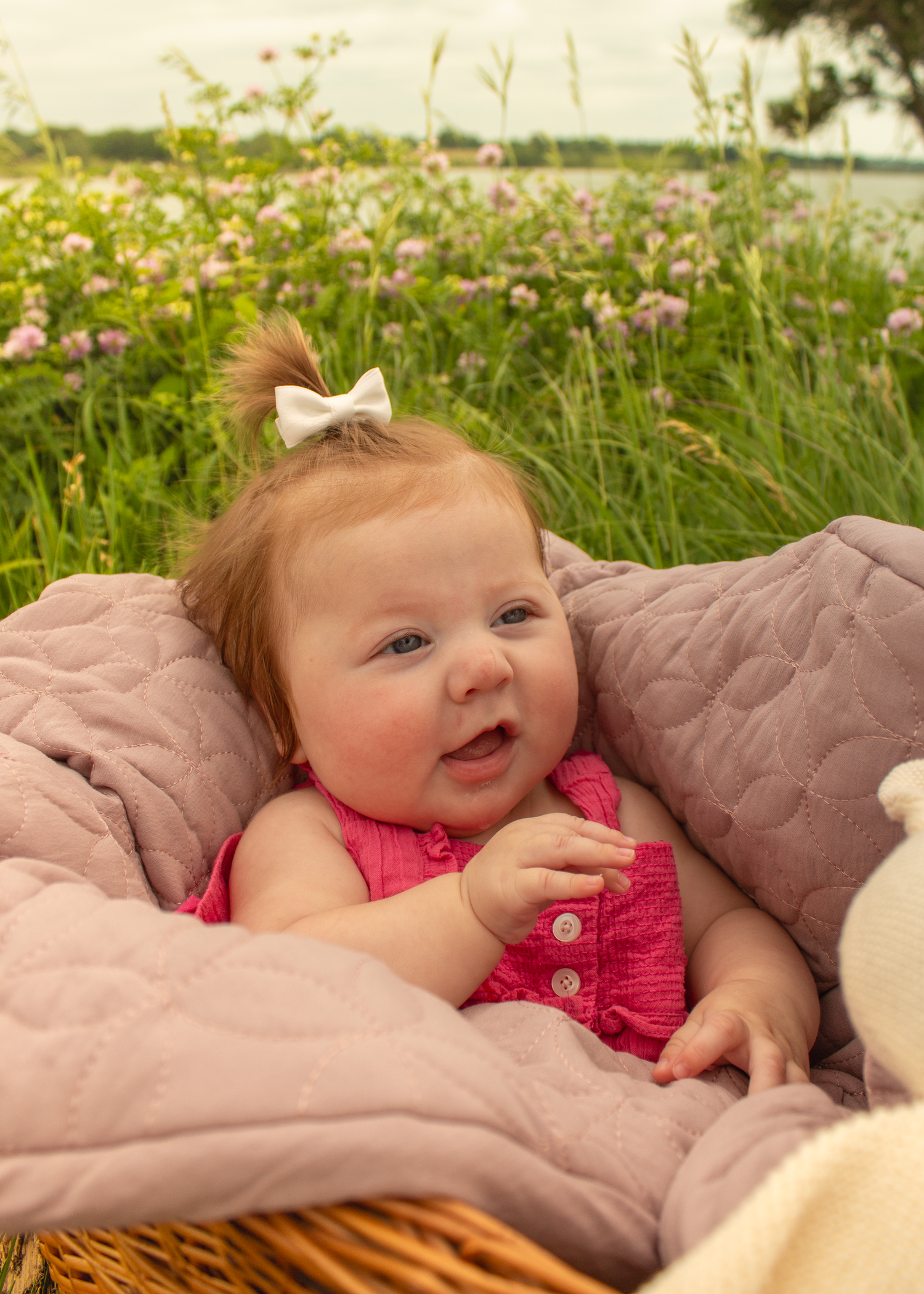 Brynlee Madison Photos Kansas City Missouri and Colombia Missouri Photographer 
Family Photo