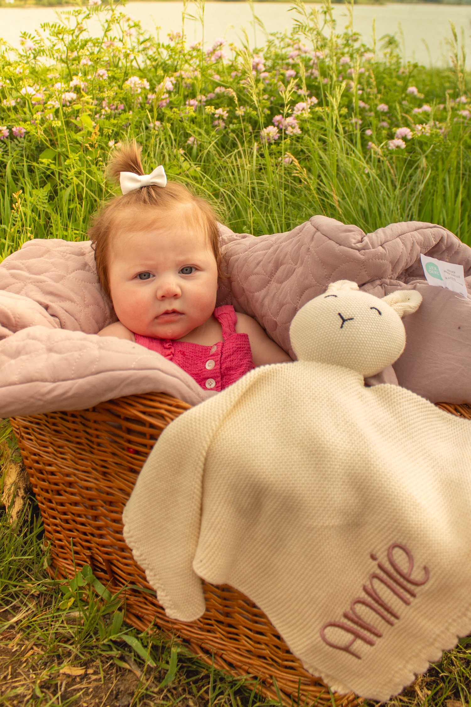 Brynlee Madison Photos Kansas City Missouri and Colombia Missouri Photographer 
Family Photos Couples Photos