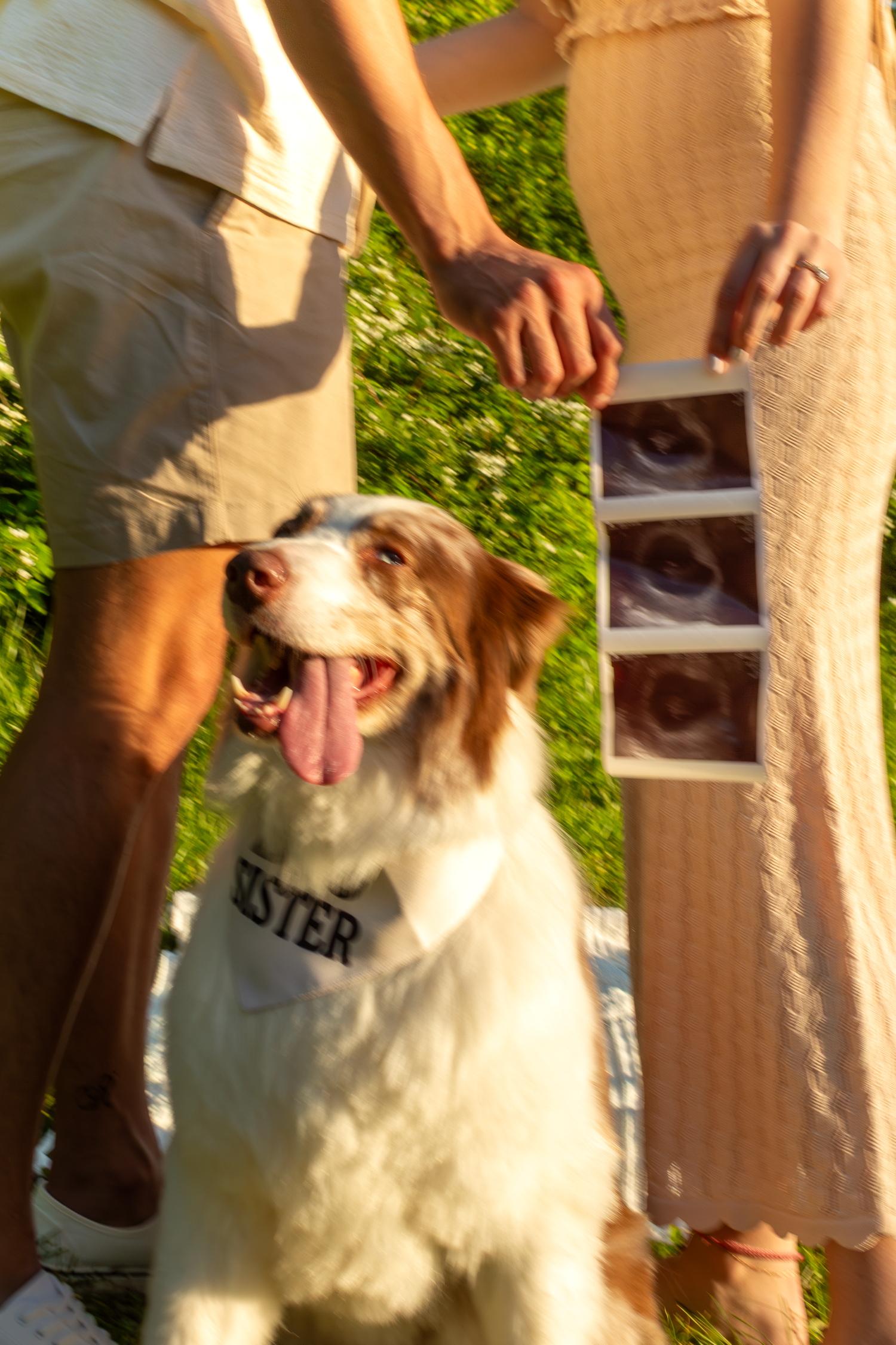 Brynlee Madison Photos Kansas City Missouri and Colombia Missouri Photographer 
Family Photos Couples Photos