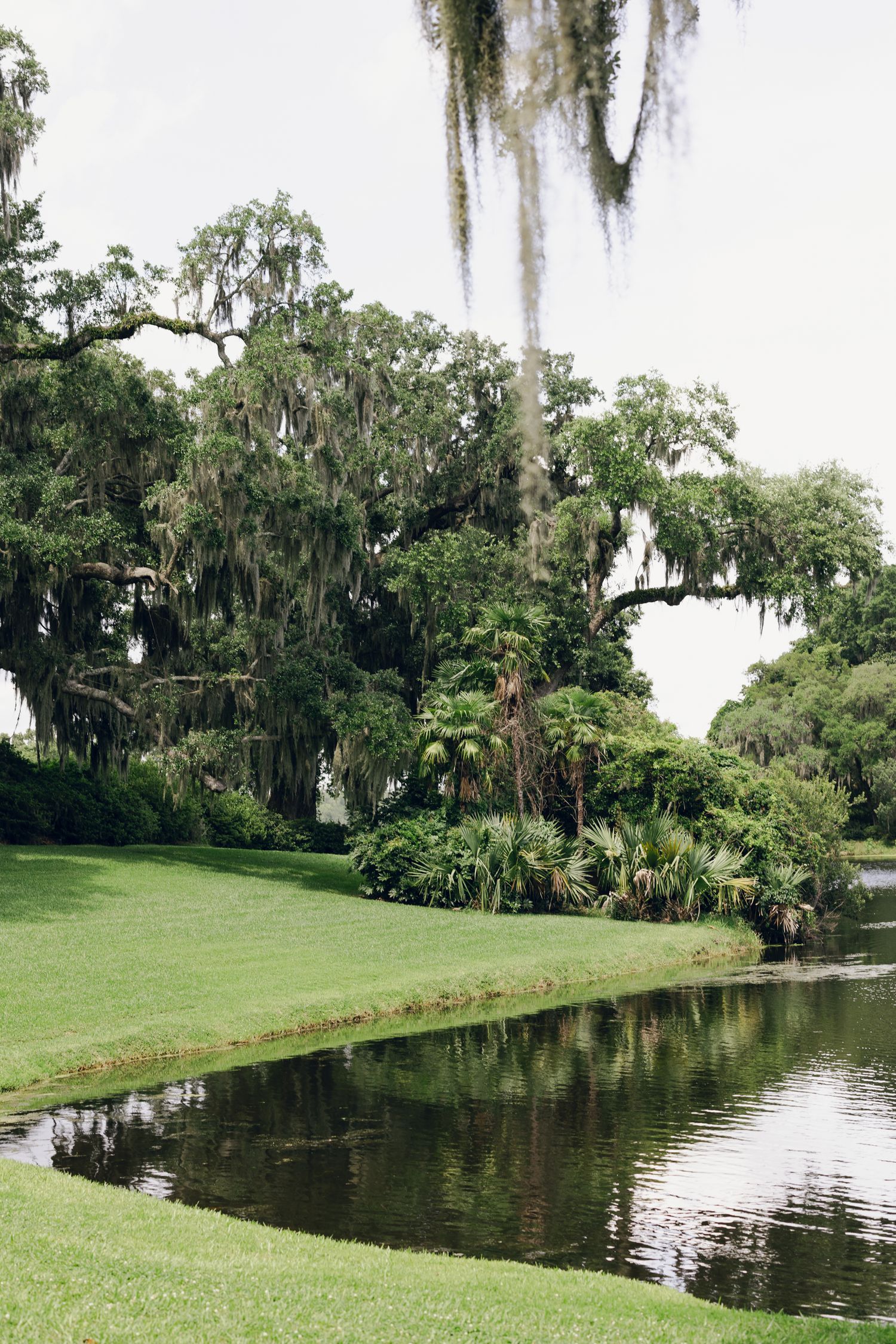 Lush green lawn beside a calm pond with Spanish moss-draped oak trees in a serene Southern landscape.