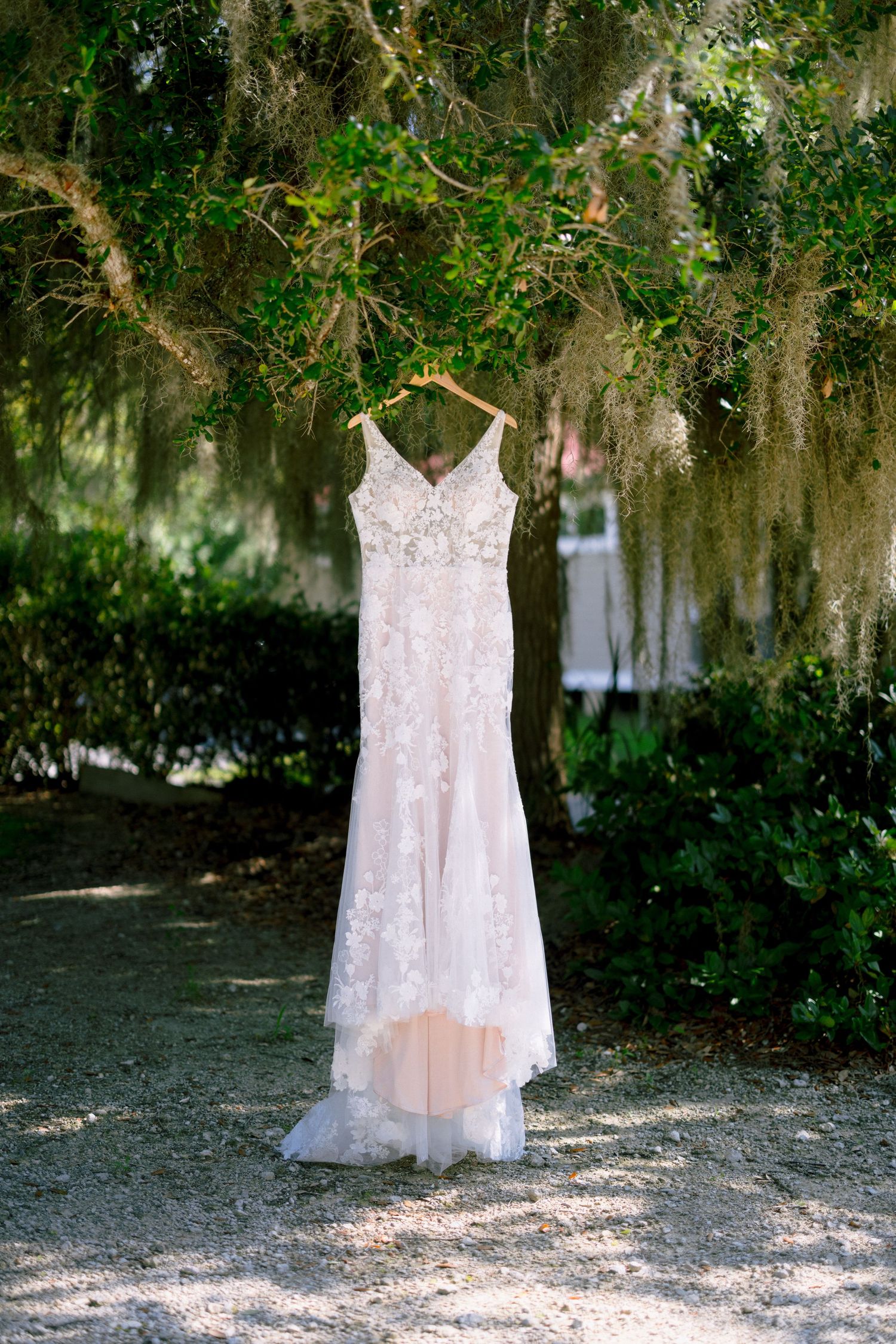 Elegant lace wedding dress hanging on wooden hanger from moss-draped tree branches in a romantic outdoor garden setting.