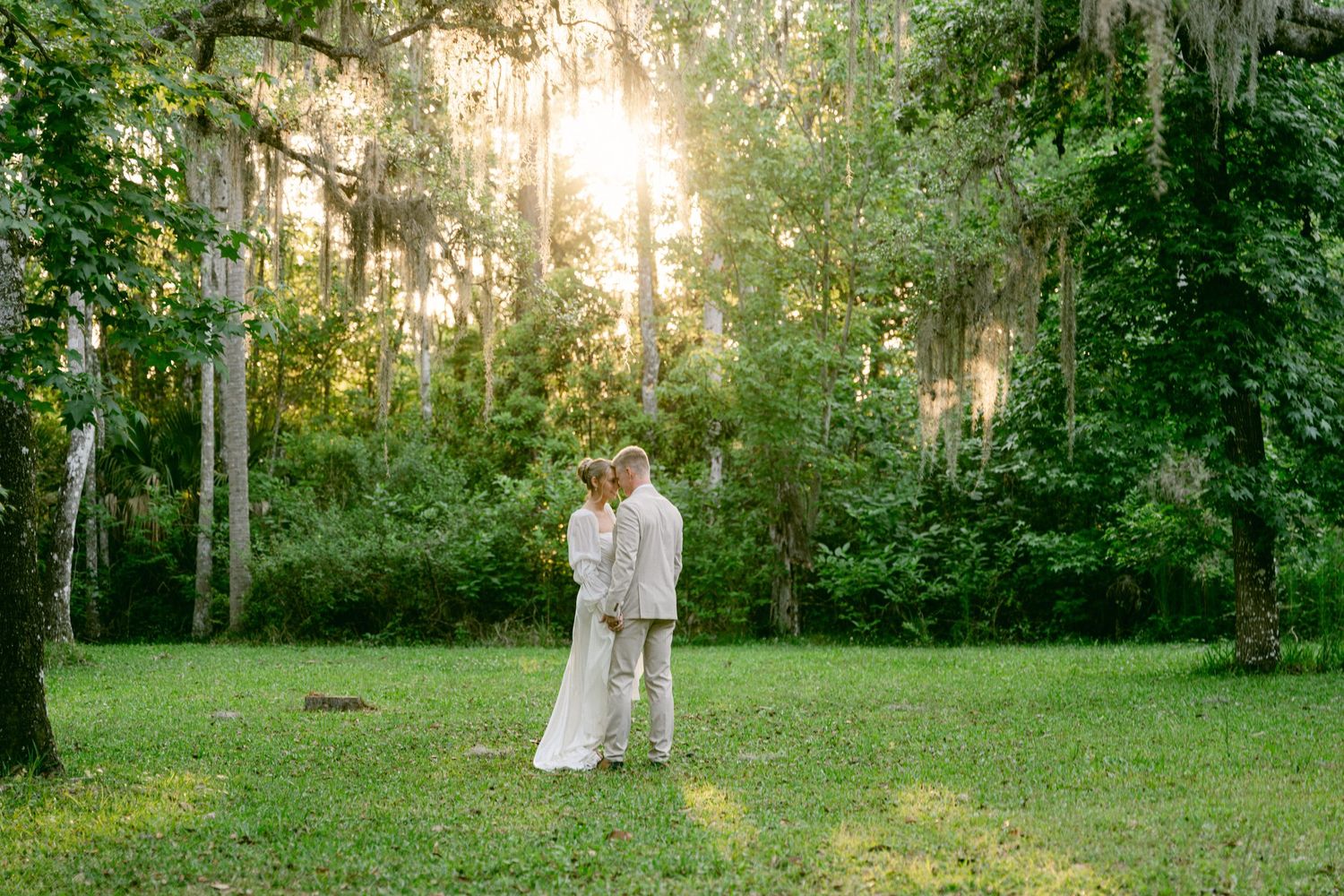 Bride and groom share intimate kiss on sunlit lawn surrounded by Spanish moss-draped trees at sunset.