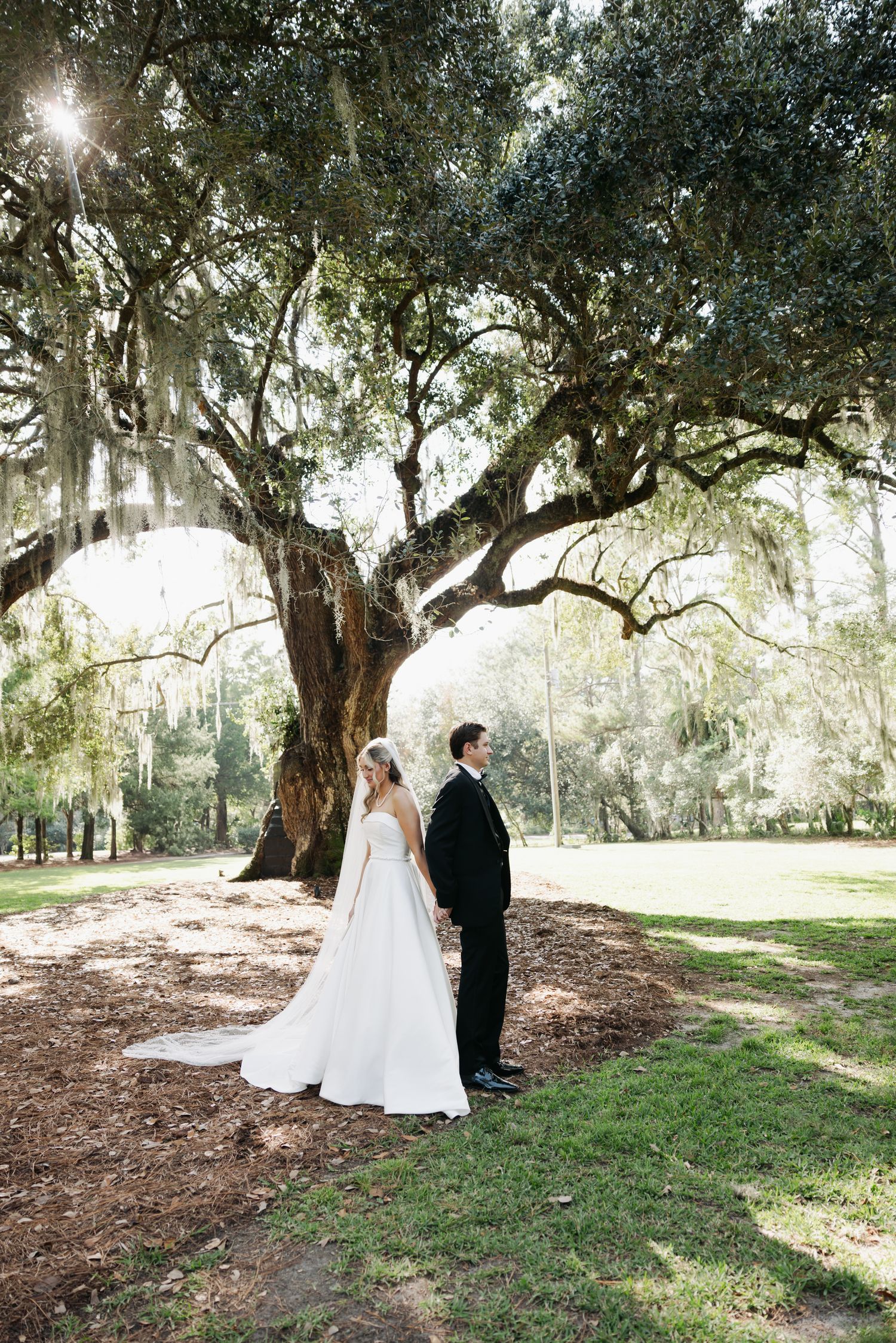 Bride and groom stand beneath a grand moss-draped oak tree in a sunlit park, bride in white gown with veil.