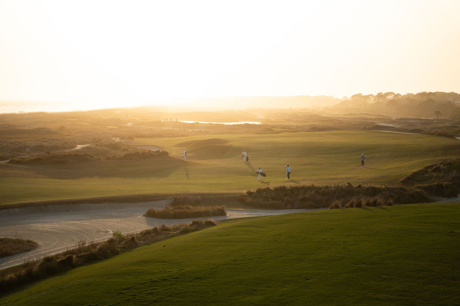 Golden sunset over rolling green hills with a winding river and birds in flight across a scenic countryside landscape.