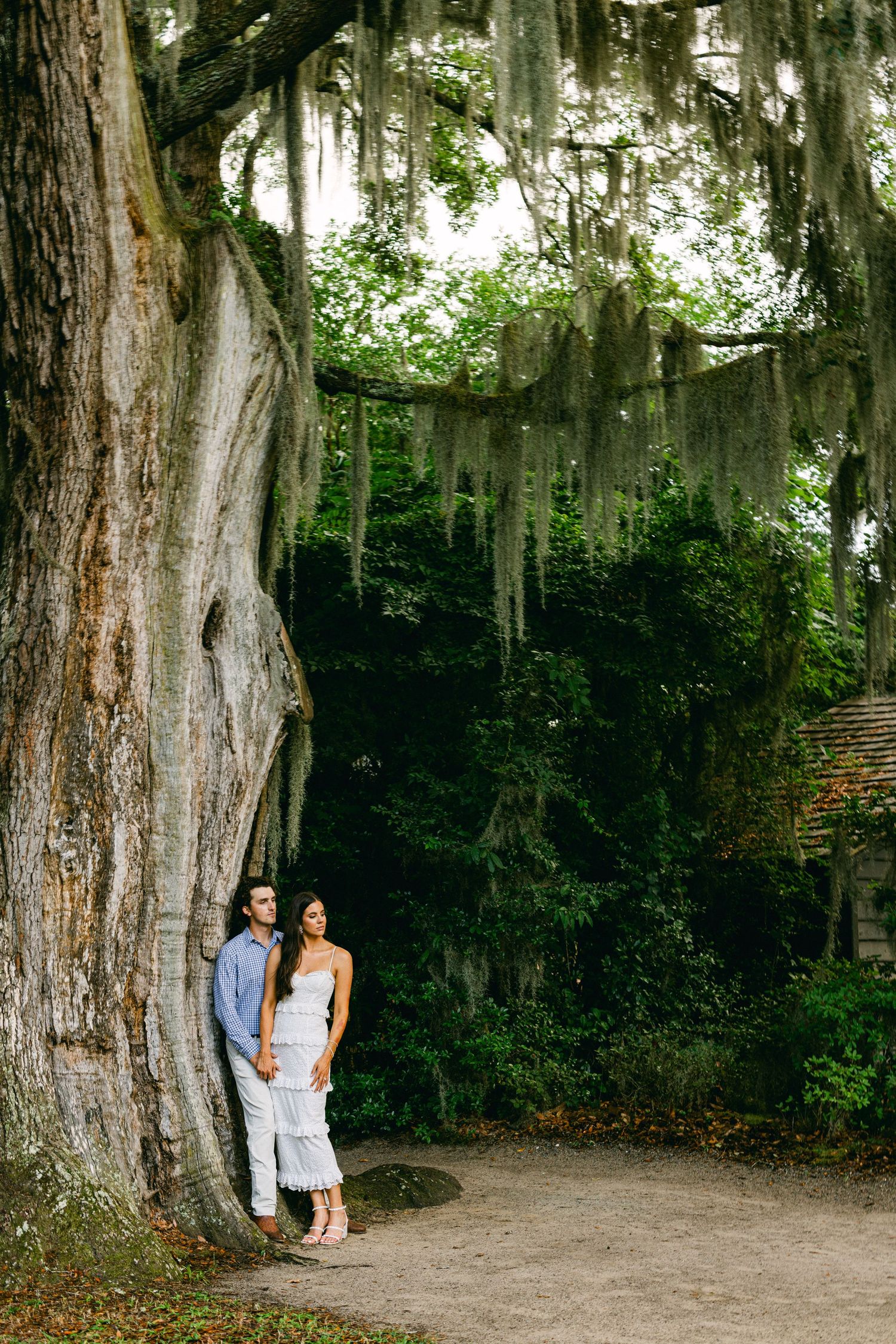 Couple standing beside massive ancient tree draped in Spanish moss in lush Southern garden setting.