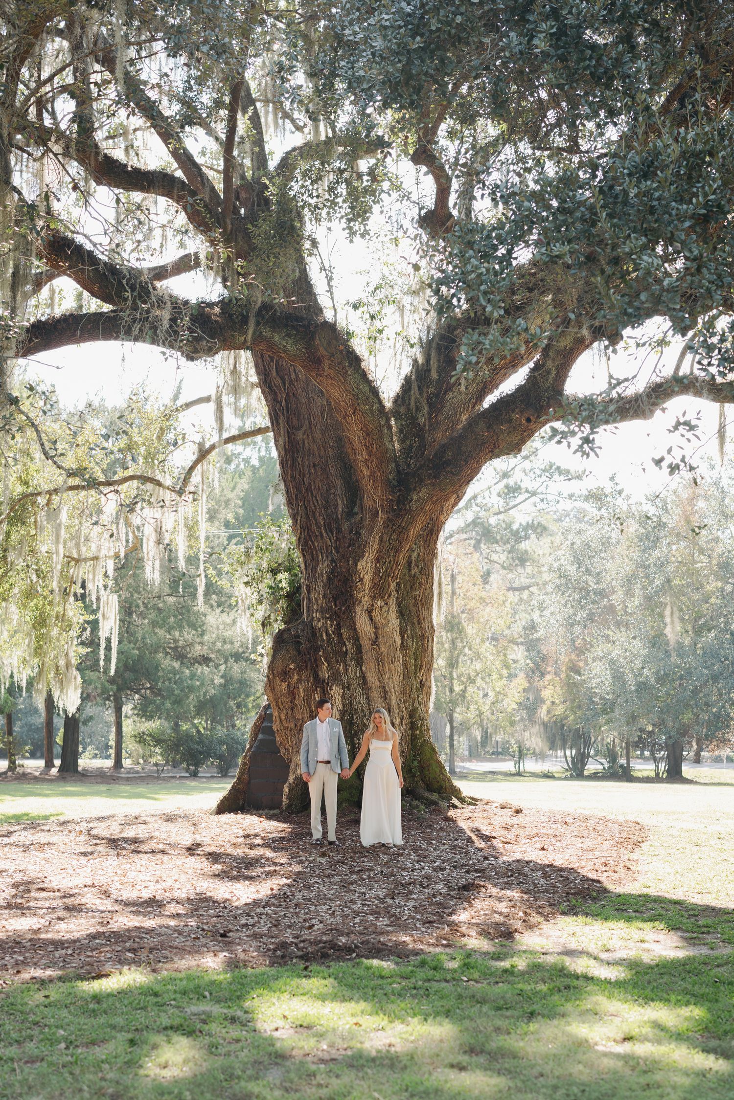 Couple holding hands under a massive live oak tree draped with Spanish moss in a lush green park setting.