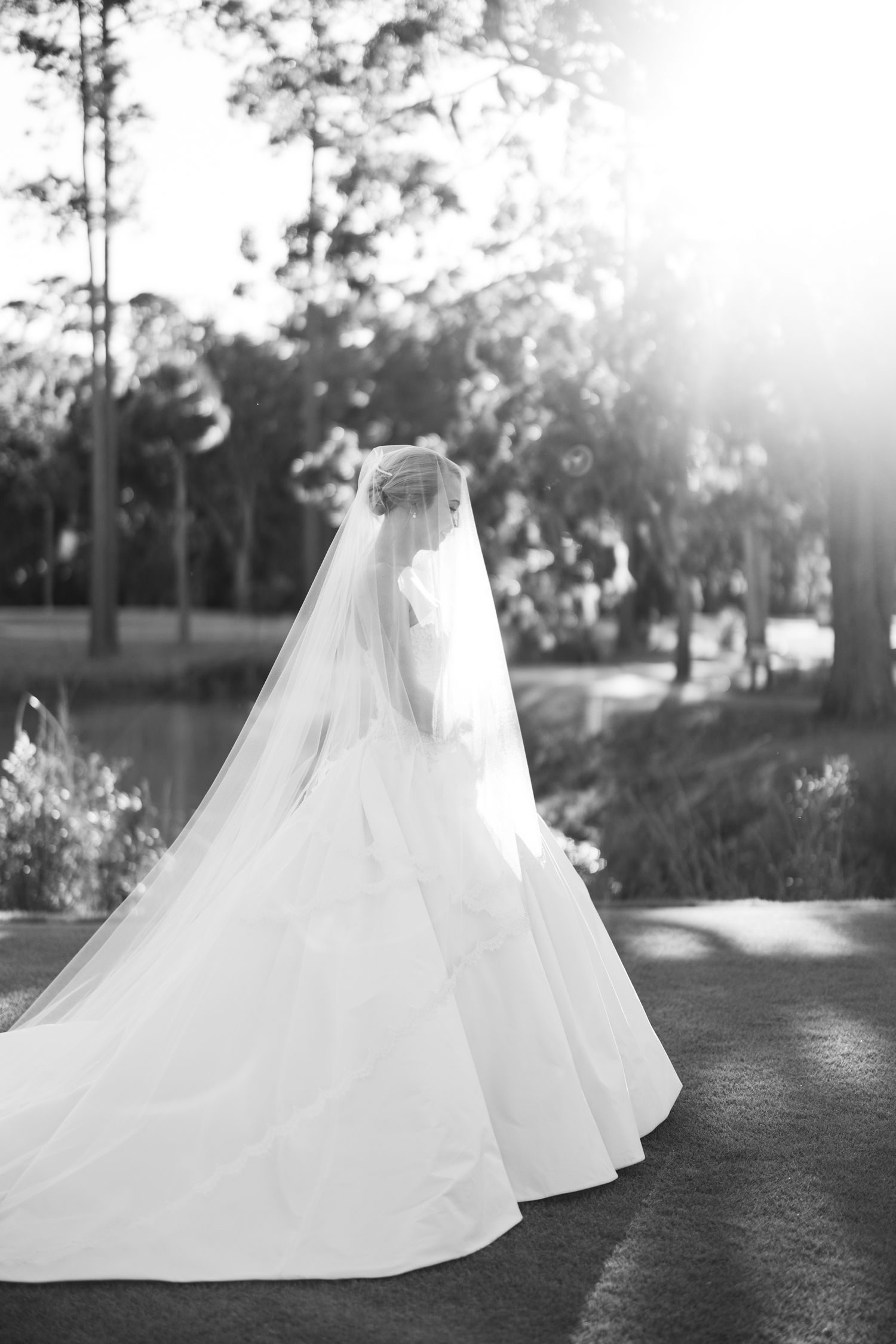 Black and white photo of a bride in a flowing gown and long veil, standing outdoors in sunlight near trees.
