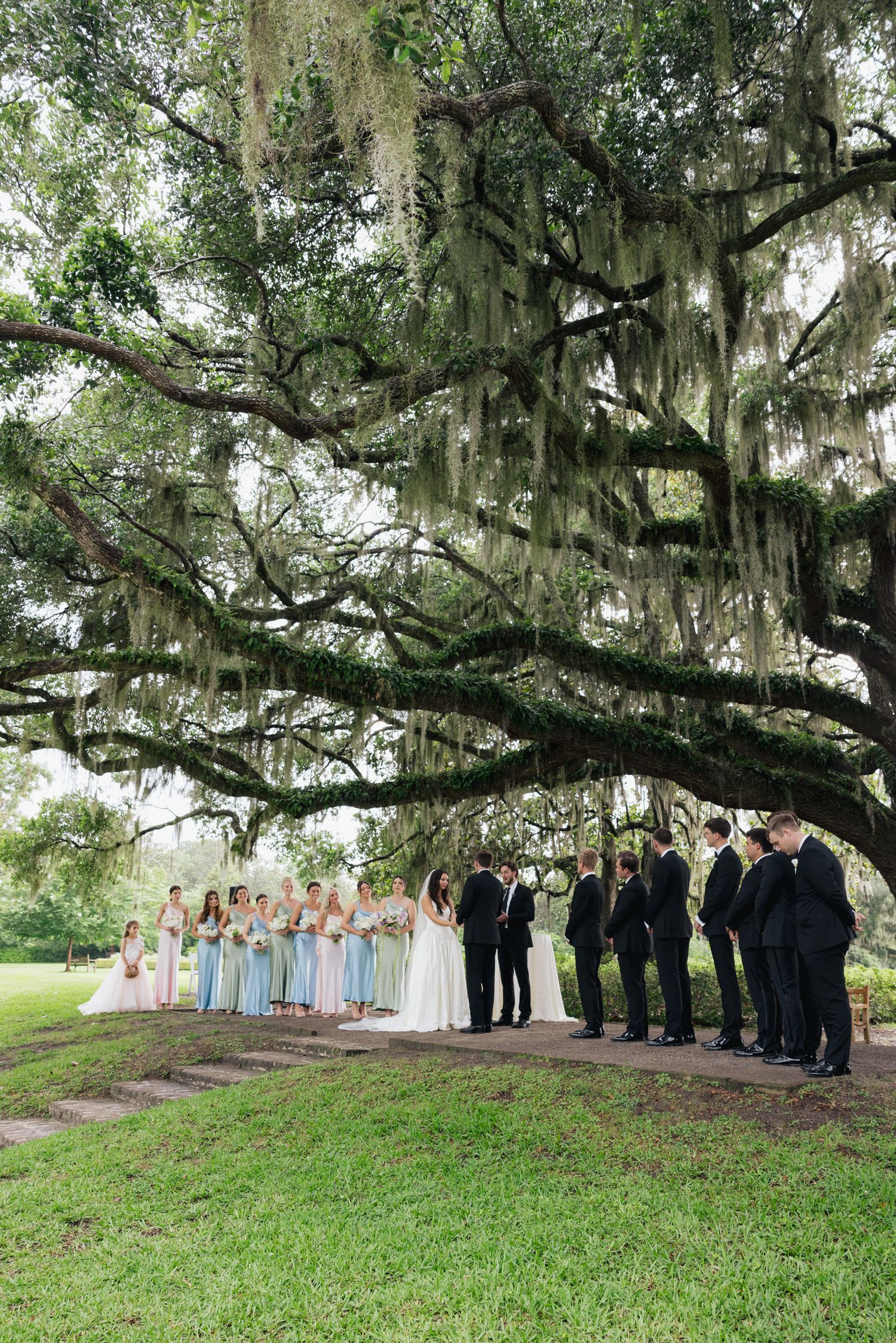 Wedding party gathered under a grand live oak tree draped with Spanish moss on lush green grounds.