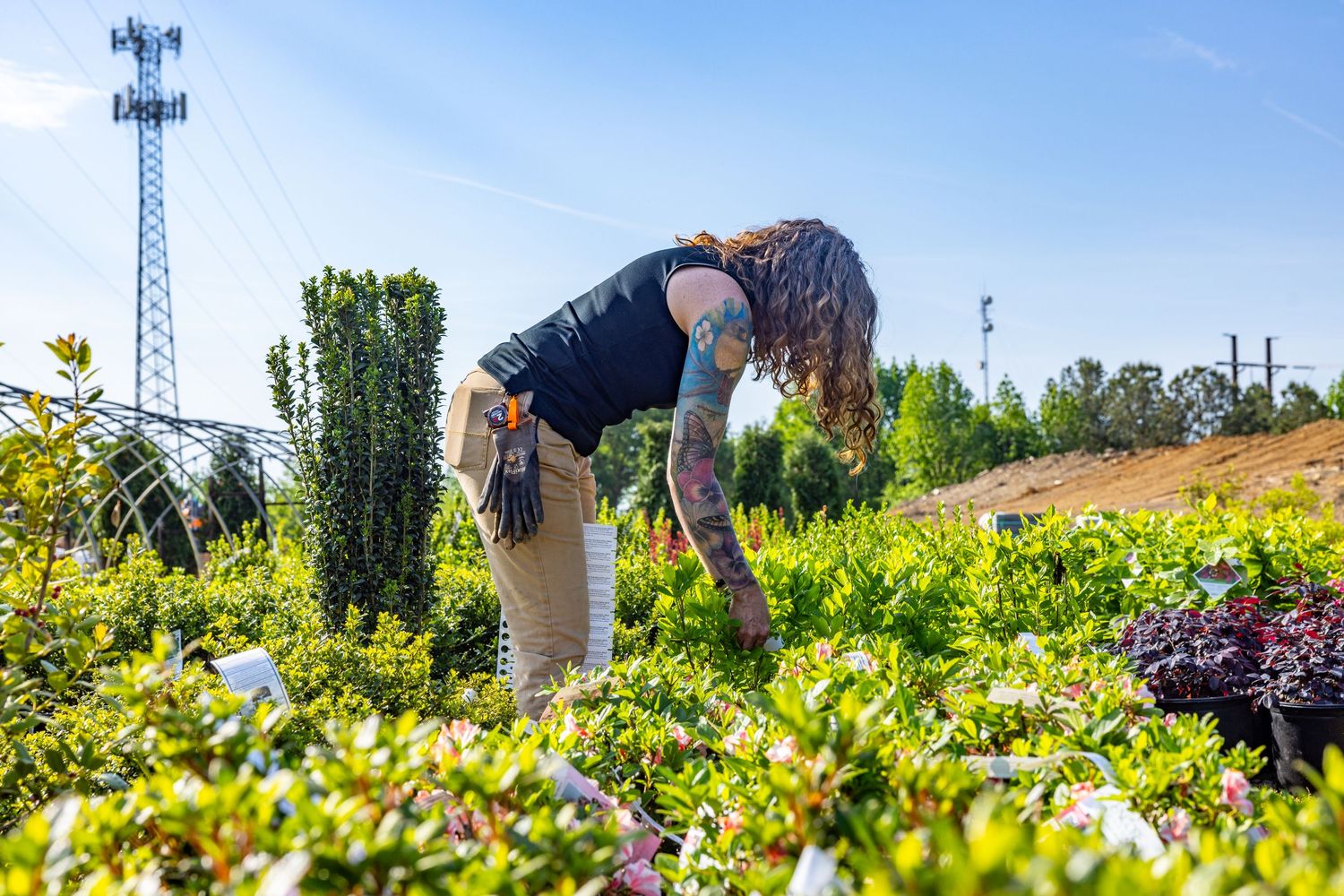 Tattooed woman with long hair tending to lush green garden shrubs on a sunny day.