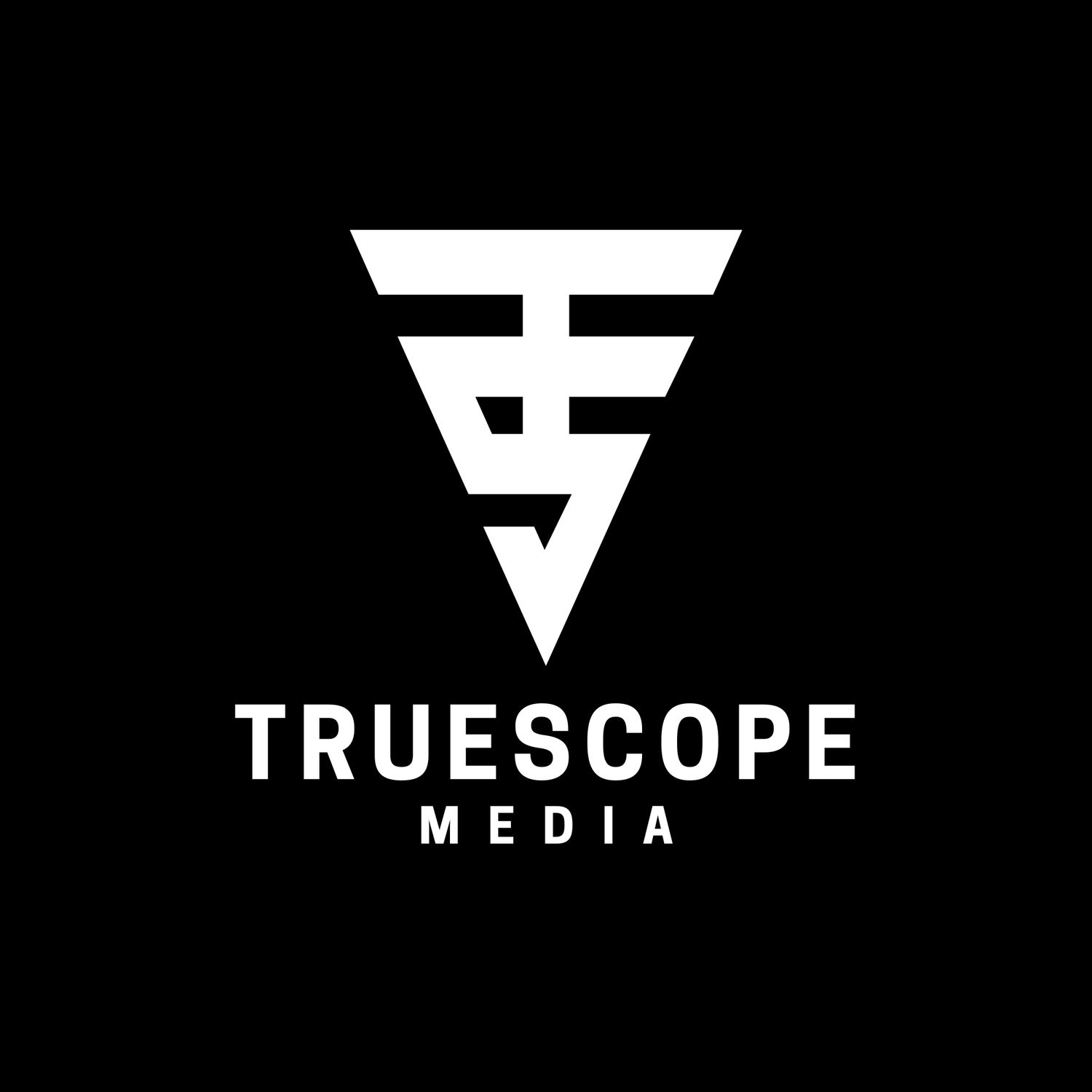 Truescope Media logo featuring a white geometric monogram TS inside a triangle on a black background.