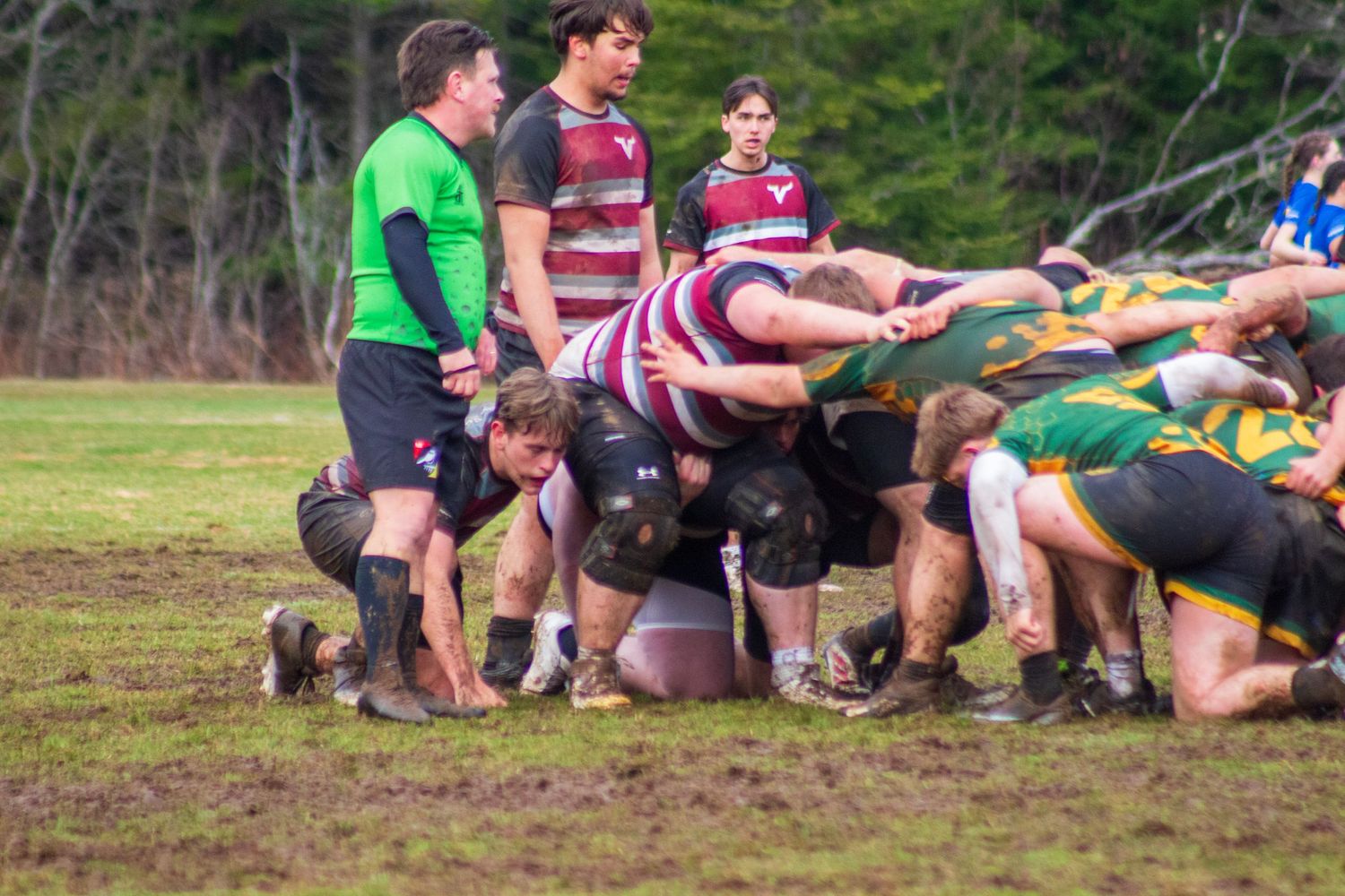 Rugby players competing in a muddy scrum during an outdoor match, with a referee in green observing closely.