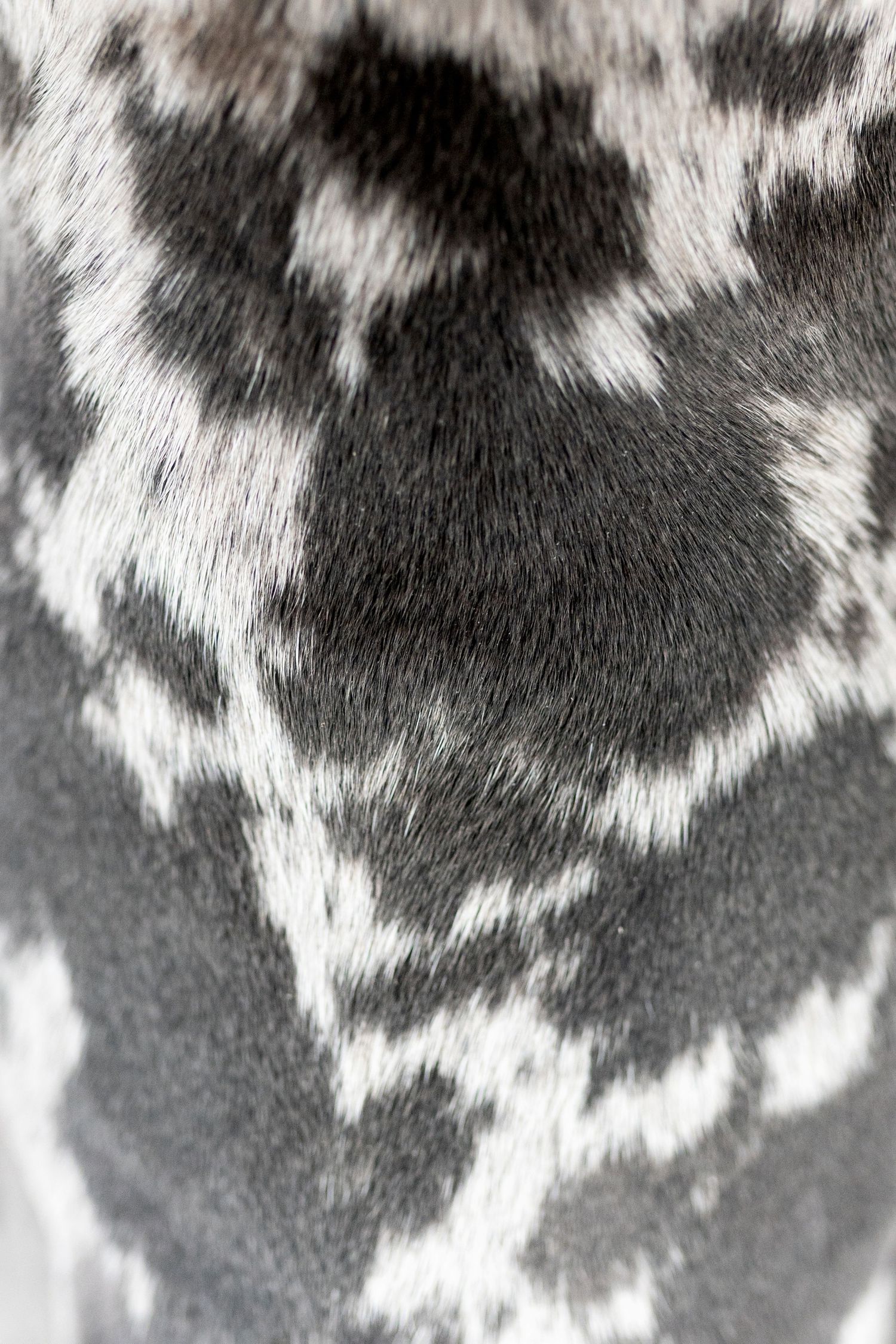 Close-up macro texture of black and white spotted short animal fur coat pattern.