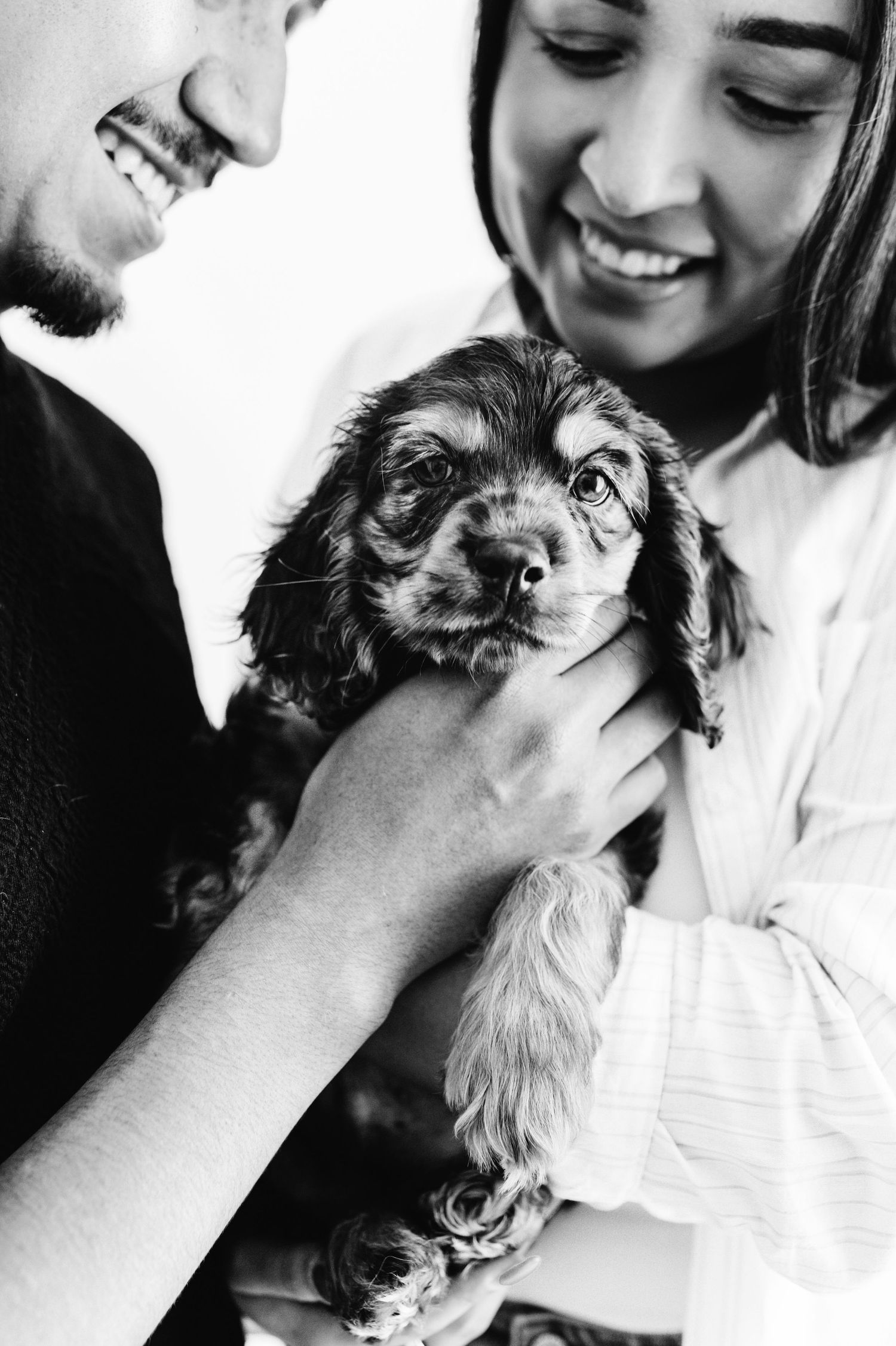 Black and white photo of smiling couple holding adorable Cocker Spaniel puppy.