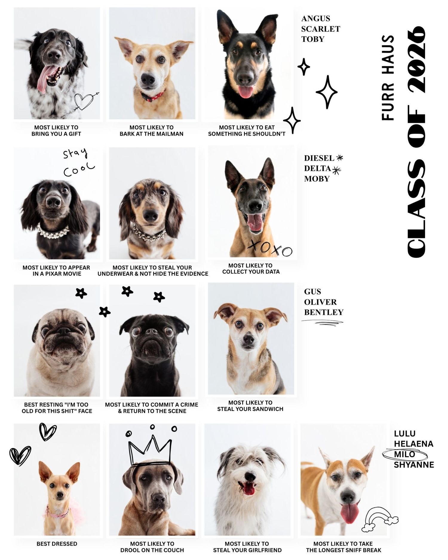 A humorous dog yearbook titled Furr Haus Class of 2026 featuring 12 dogs with funny superlatives and names.
