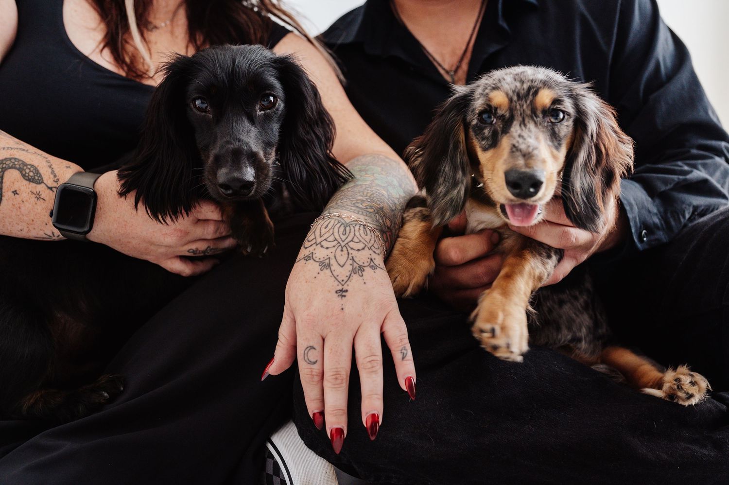 Couple in black holding a black Cocker Spaniel and a Dachshund, showing hand tattoo.