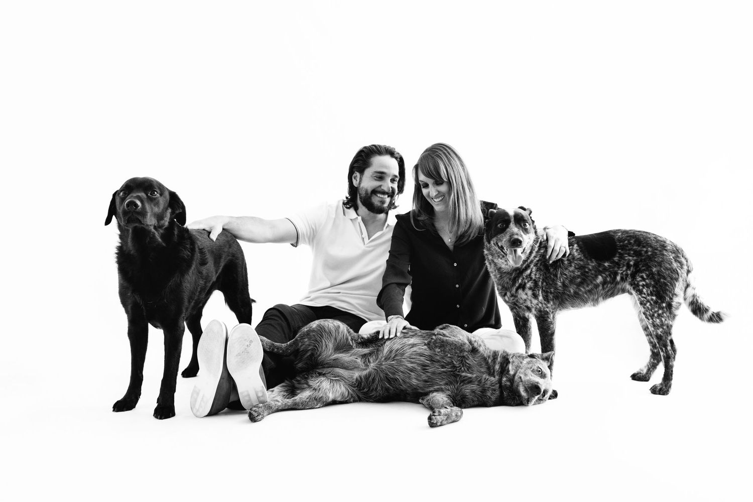 A couple sits with three dogs of different breeds in a black and white studio portrait.