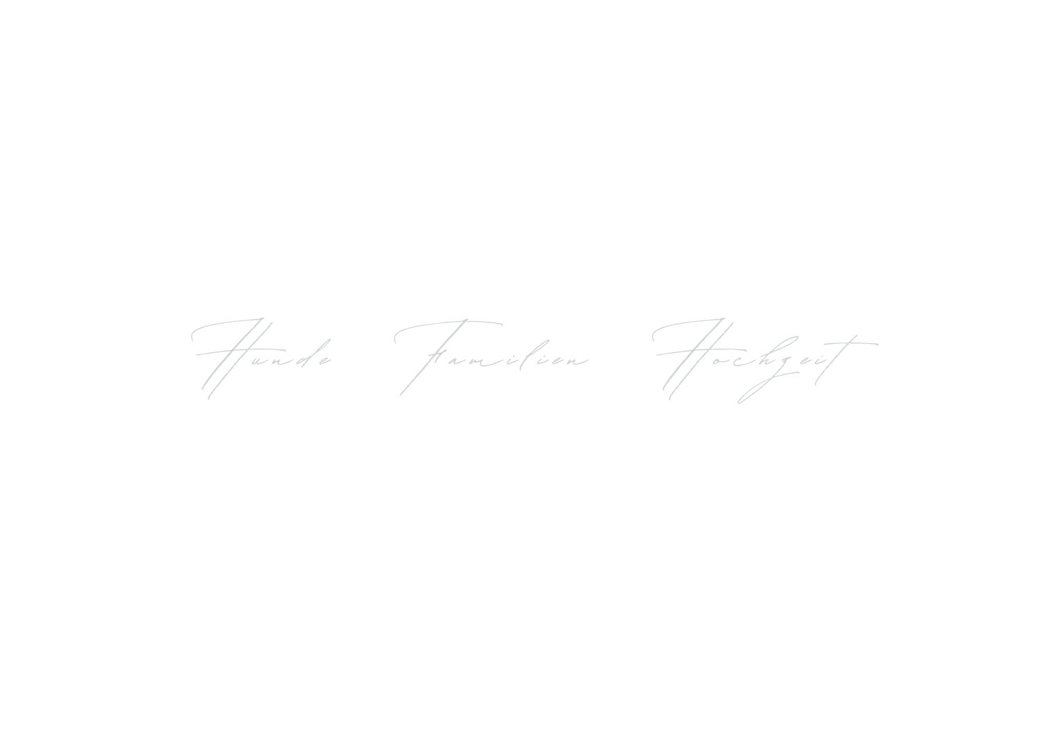 Elegant cursive text logo design in light gray on white background.