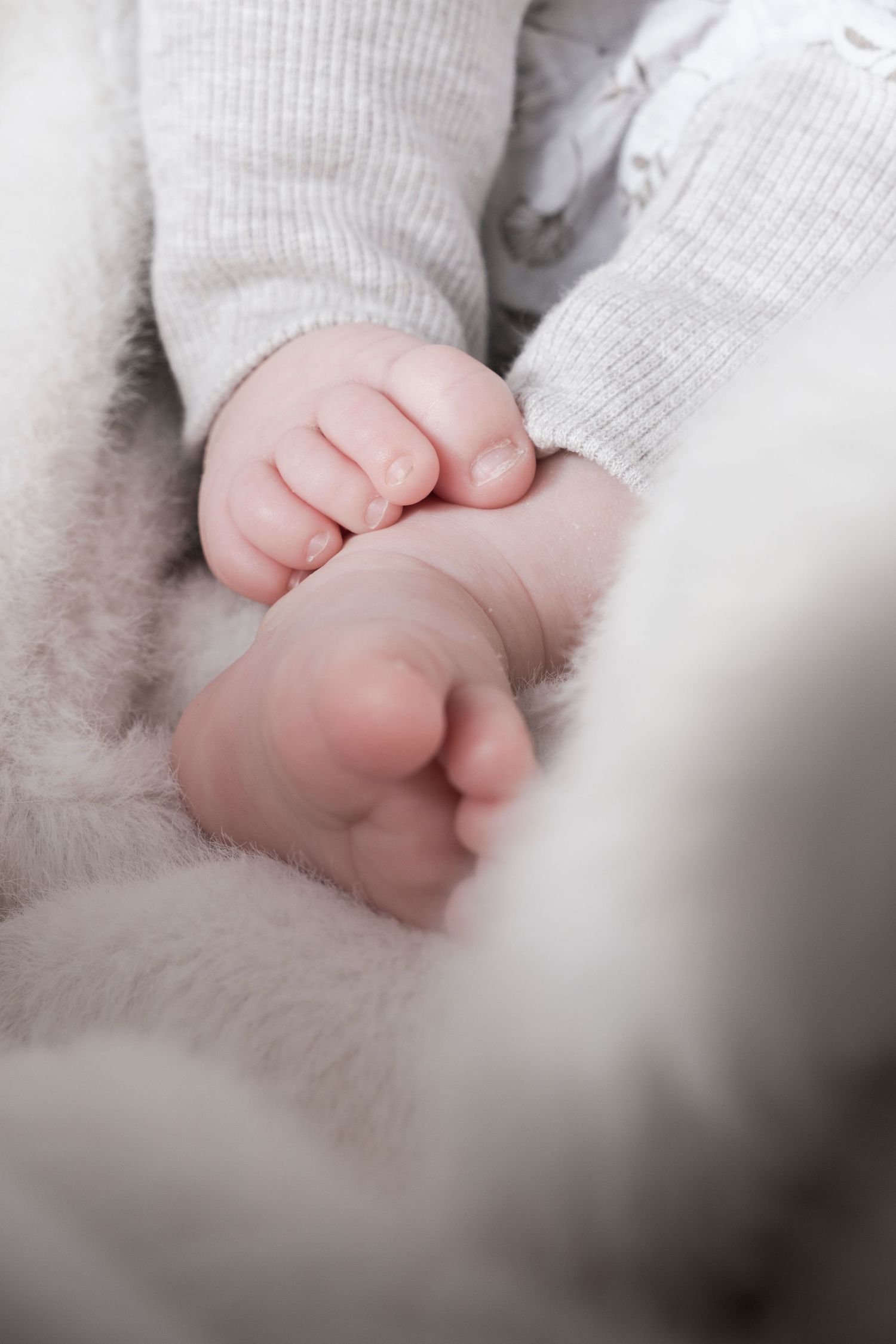 Close-up of tiny newborn baby feet and hands resting on soft white fluffy blanket.