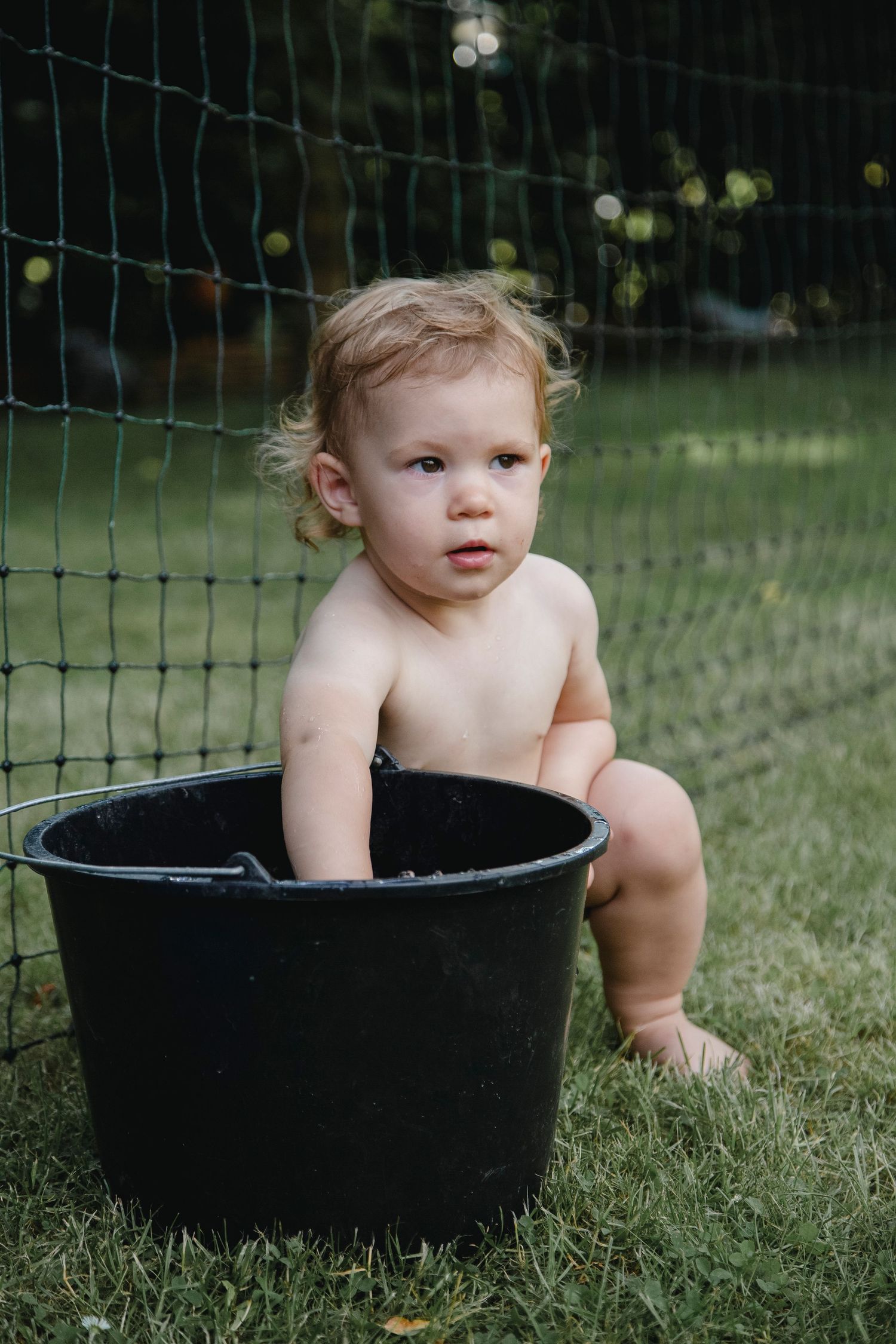 Adorable blonde toddler sitting inside large black bucket in garden near green mesh fence.