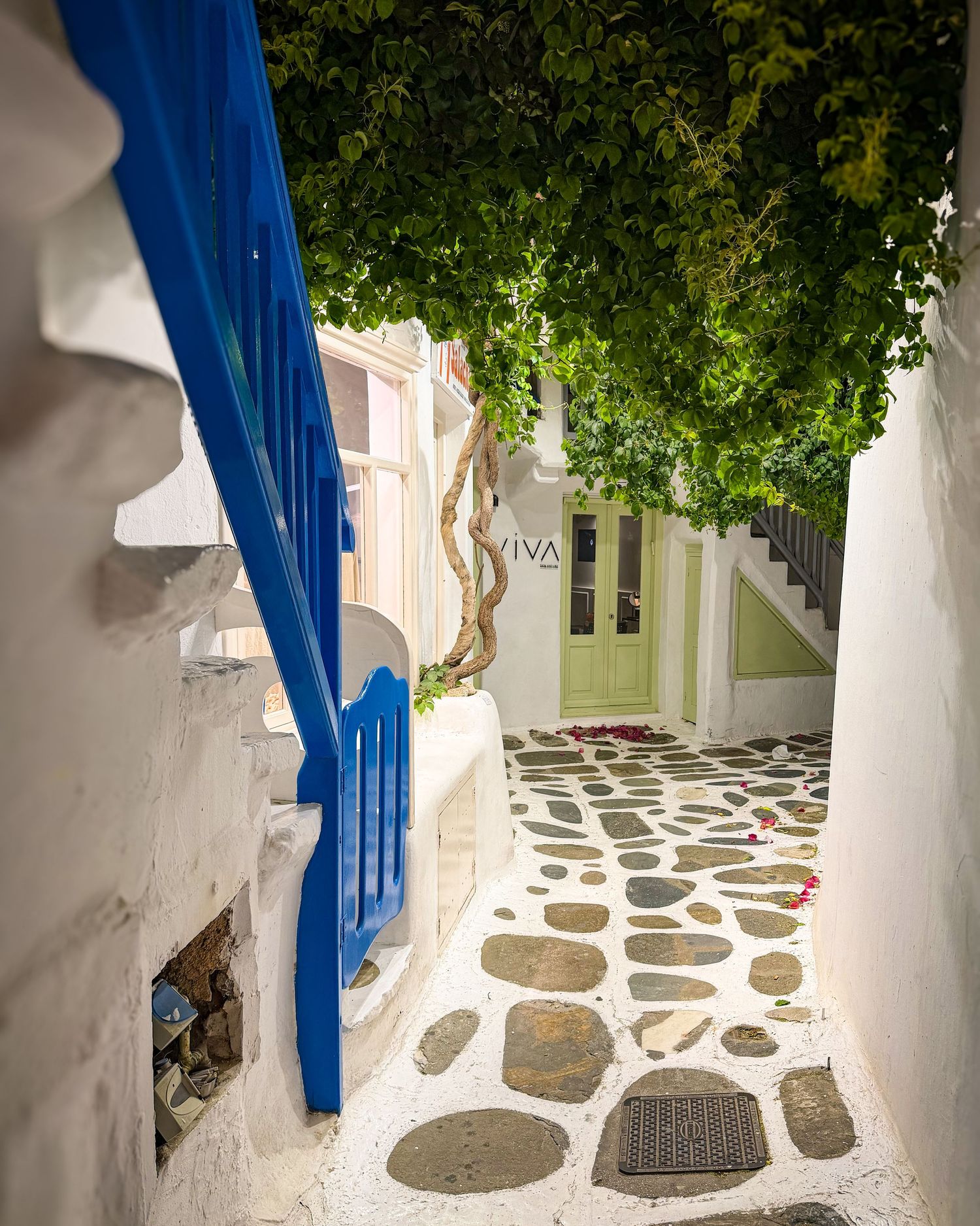Whitewashed lane with blue accents and a tree in Mykonos Town, Greece