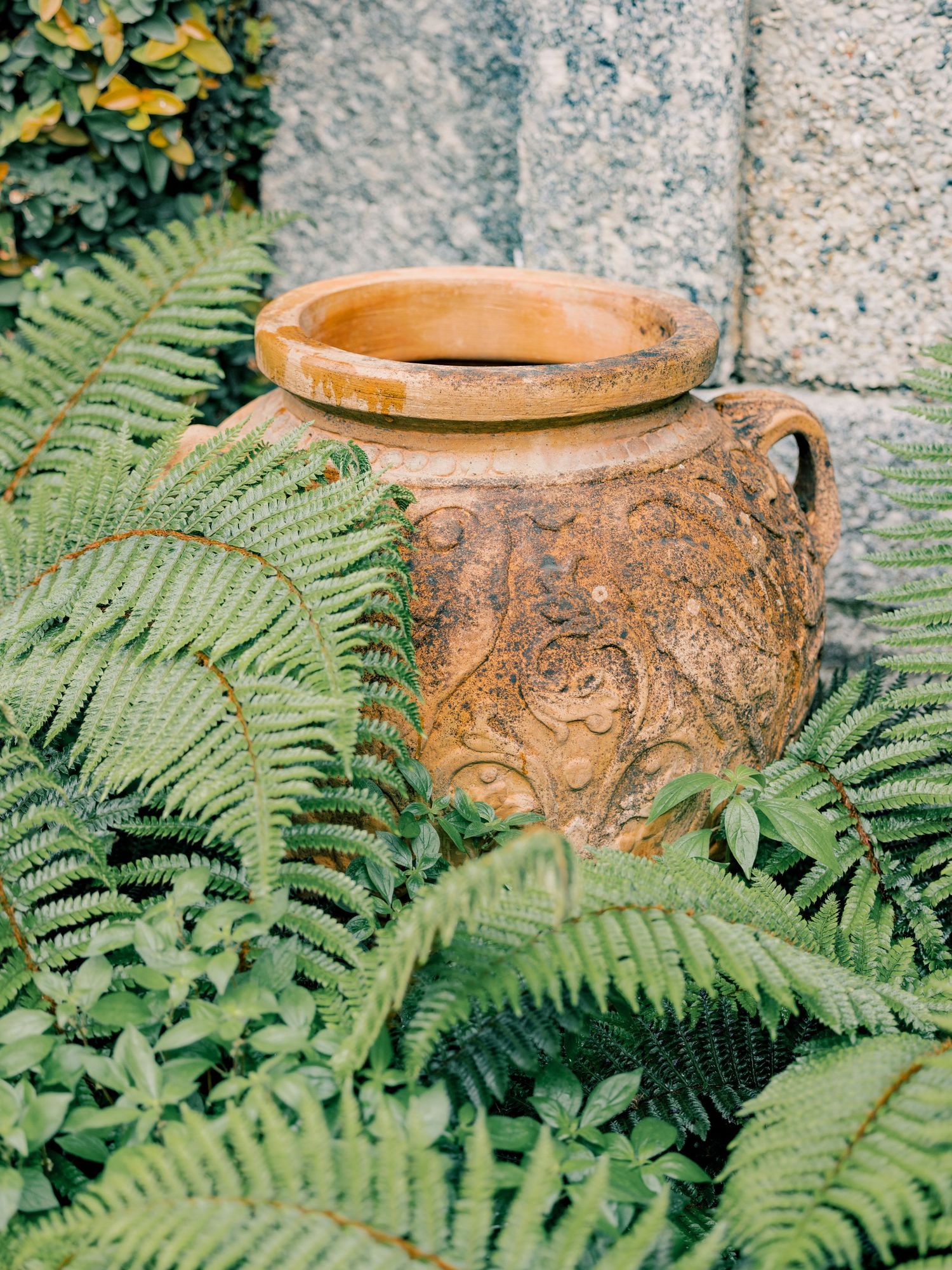 Decorative wooden bowl with carved natural patterns nestled among lush green fern leaves against stone background.