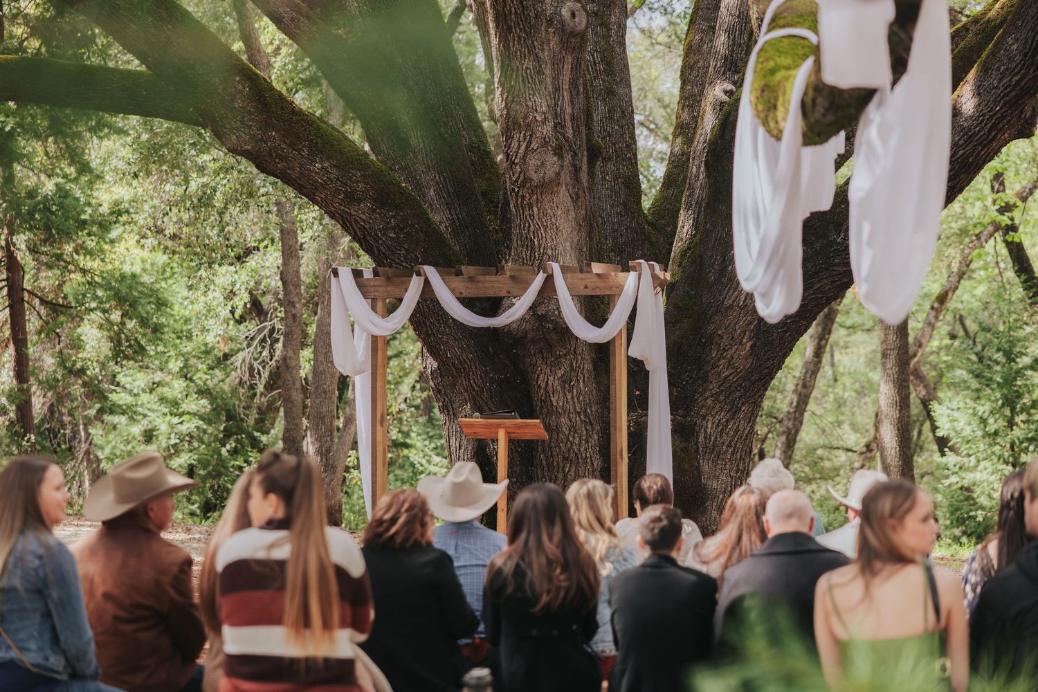 Outdoor wedding ceremony setup with white fabric draping between trees in natural setting.