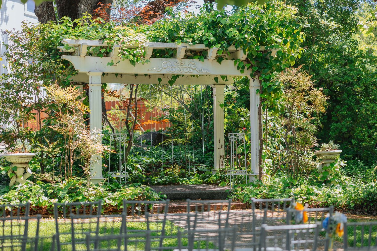 Scenic garden wedding venue with white pergola and flowering plants in natural sunlight.