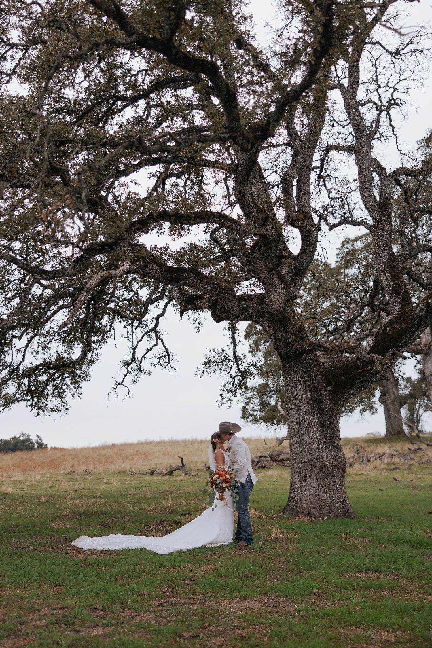 The Potter's posing under a majestic oak tree on a grassy hillside.