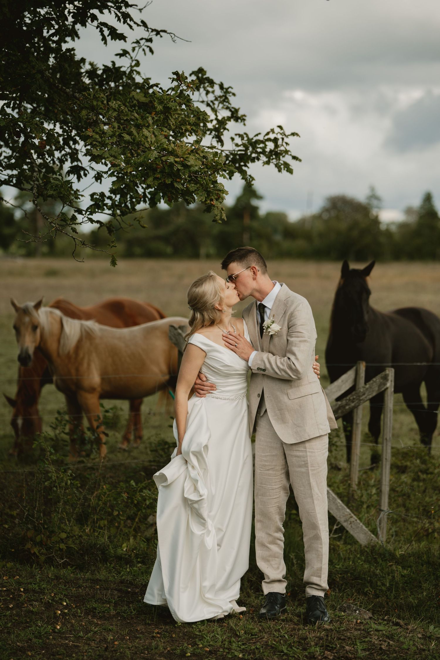 A bride and groom share a kiss on a farm with horses grazing behind them on their wedding day.