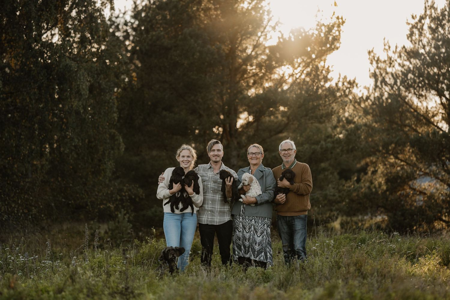 Four people holding small dogs pose outdoors in a sunlit meadow with evergreen trees during golden hour.