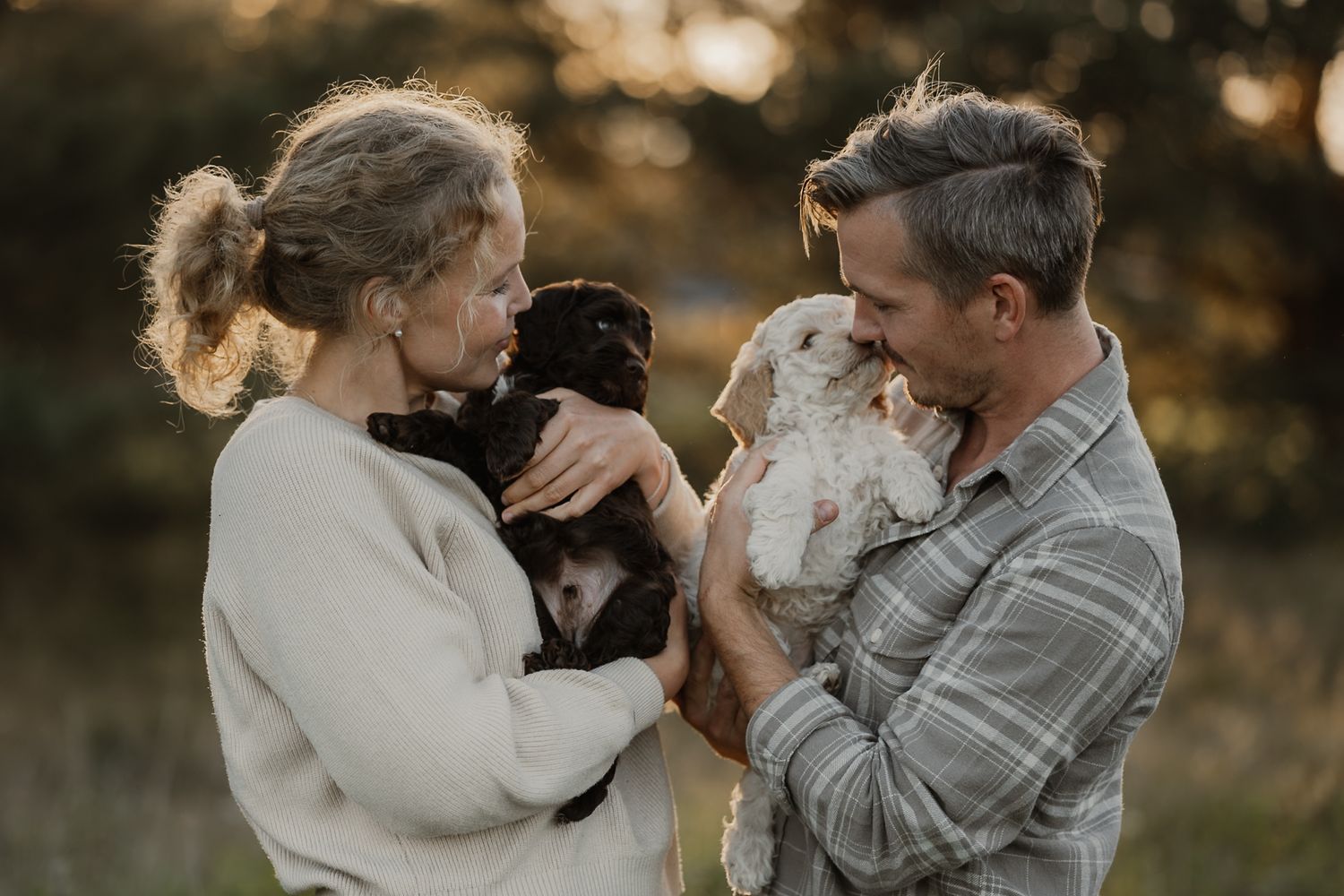 A couple smiles while holding two small puppies outdoors in a golden sunset field.