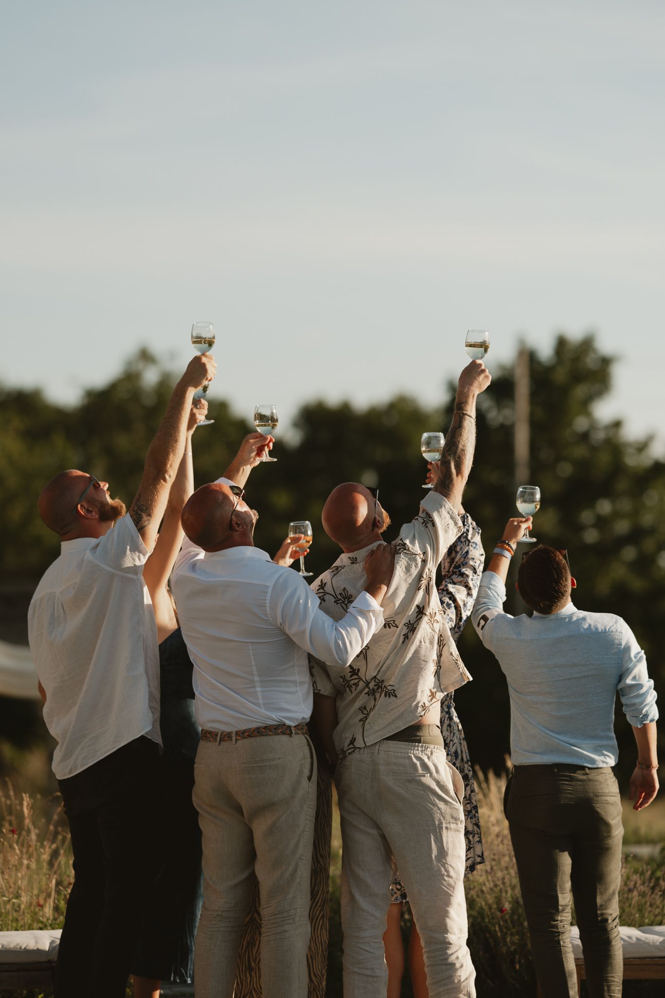 Group of friends raising wine glasses in a celebratory toast outdoors at golden hour during a summer gathering.