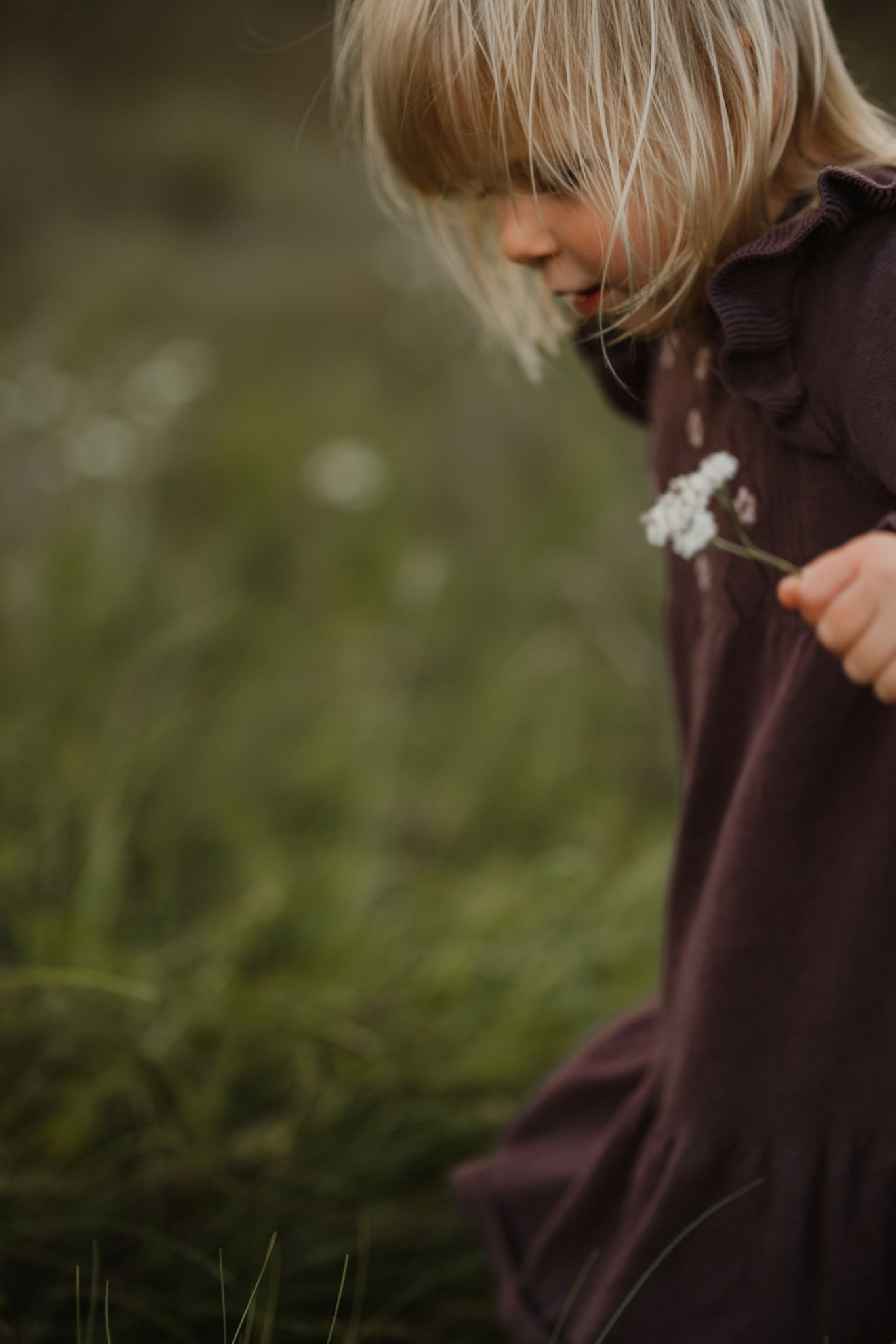 Young blonde girl in a dark purple dress holding a small white wildflower in a green meadow.