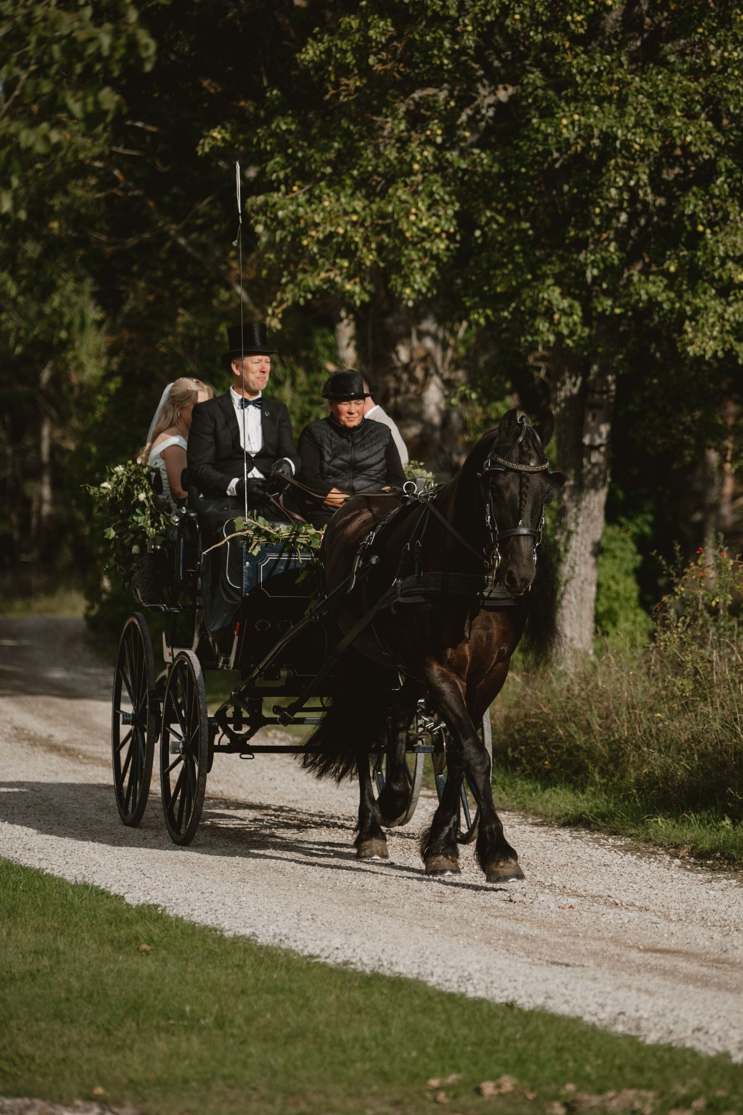 A bride and groom ride in a black horse-drawn carriage decorated with greenery along a tree-lined gravel path.