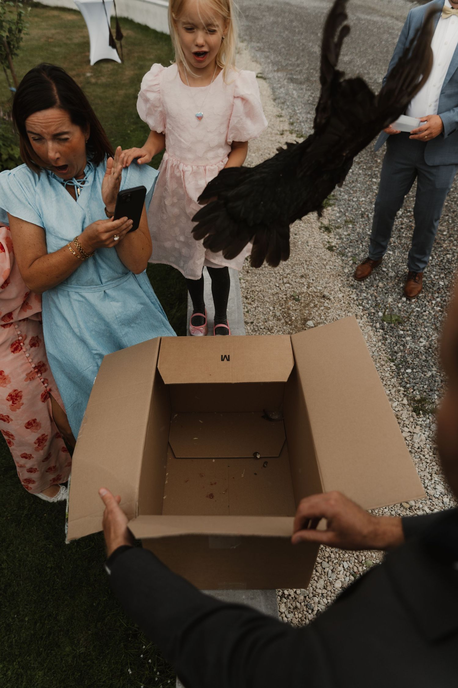 A black bird emerges from a cardboard box, surprising a young girl in a pink dress and a woman in blue at an outdoor event.